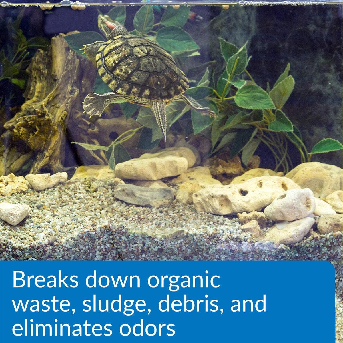 API Turtle Sludge Destroyer Aquarium Cleaner and Sludge Remover Treatment | 237 ml Liquid 5