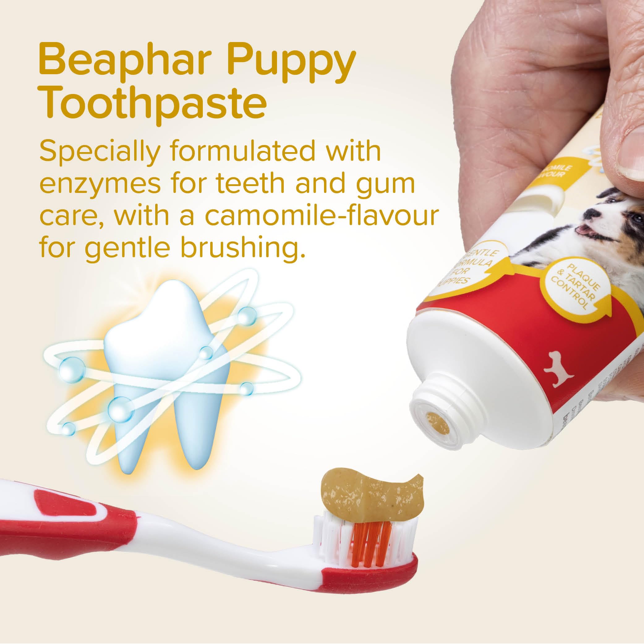 Beaphar Puppy Dental Care Kit - Toothbrush, Finger Brush & Camomile Toothpaste | 3 Items 5