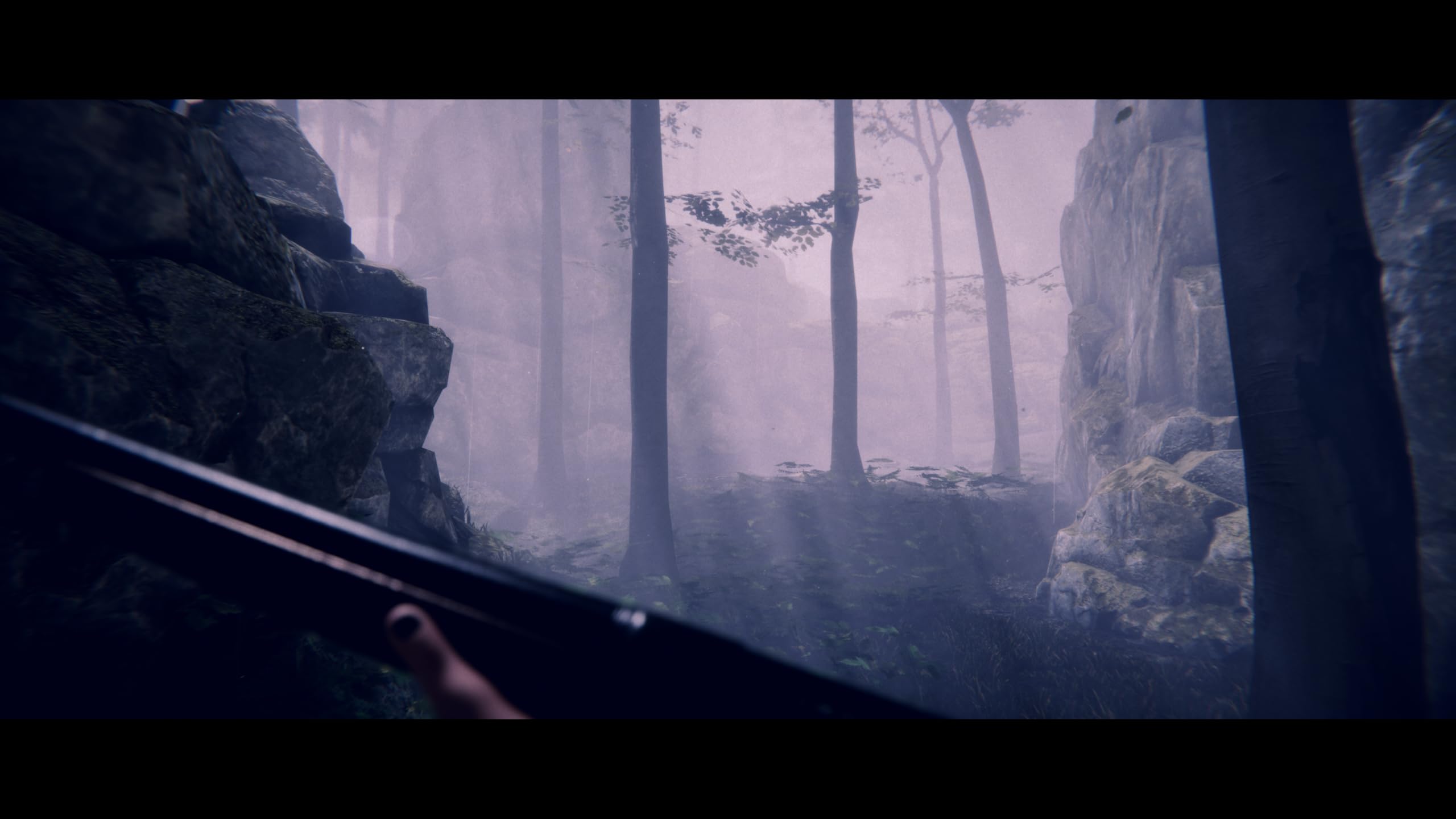 Project Songbird [PS5] 3