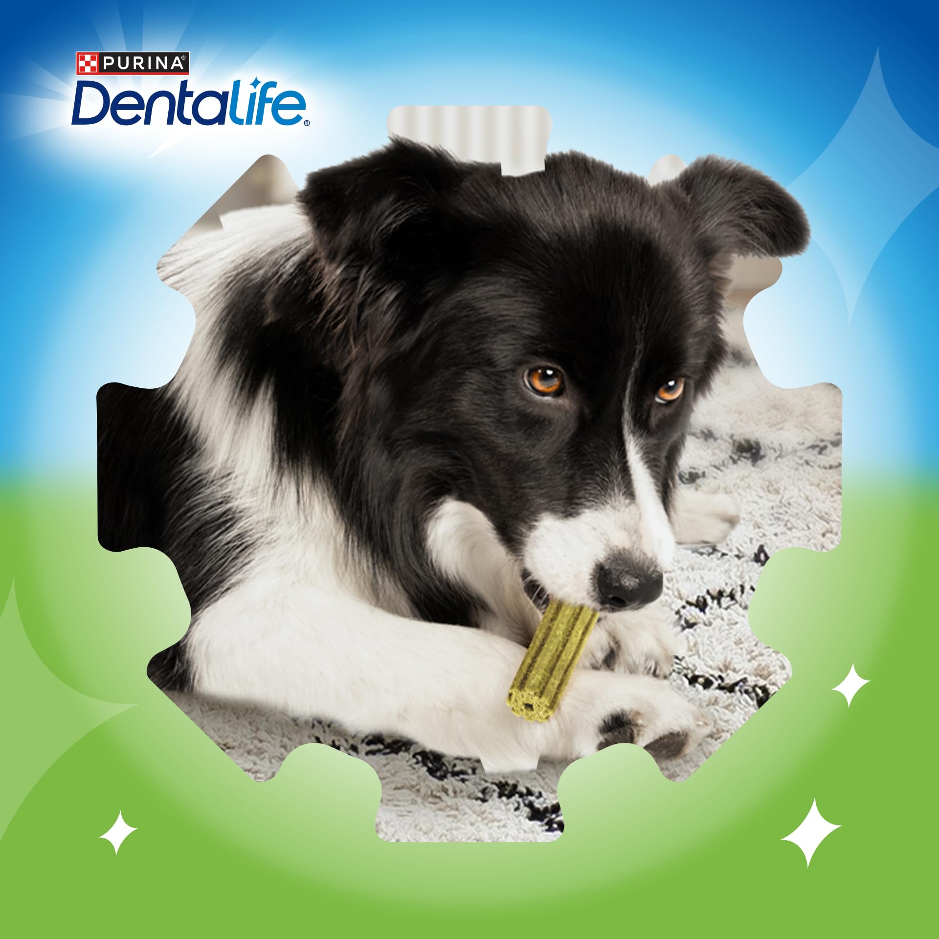 Dentalife ActivFresh Medium Dental Sticks for Adult Dogs with Chicken Flavor - 5 Sticks 7