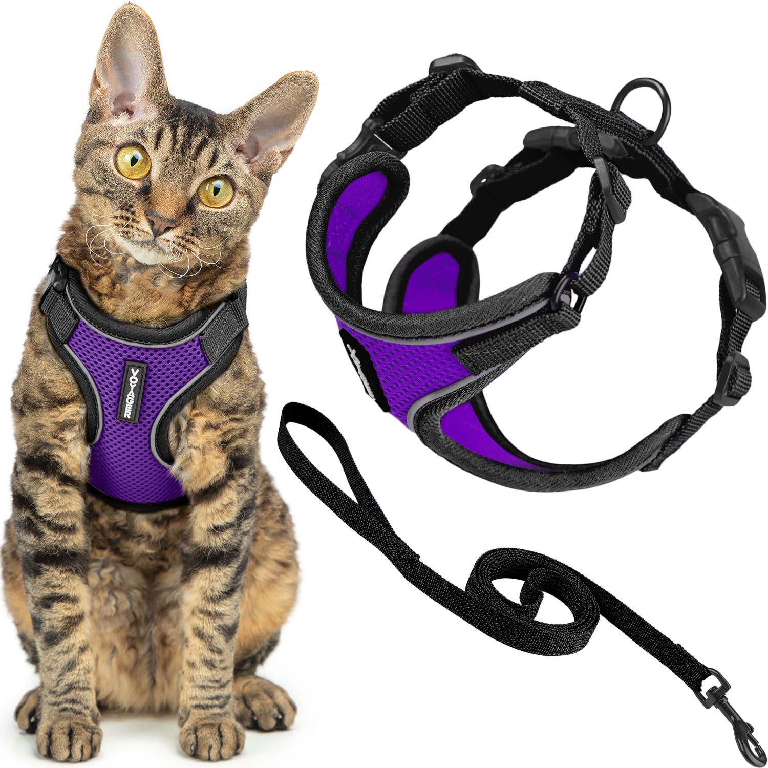 Best Pet Supplies Voyager Escape Proof Cat Harness and Leash Set - Reflective Stitching, 5ft Leash, Adjustable Fit - Black Trim-Purple, Small 1