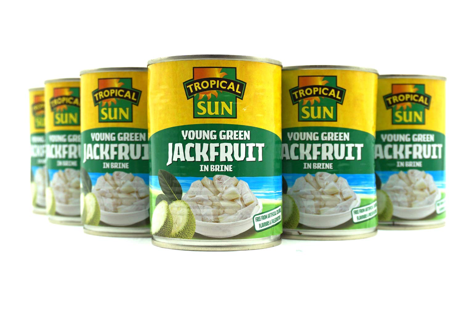 Tropical Sun Young Green Jackfruit in Brine - 560g Can | Vegan & Vegetarian Friendly