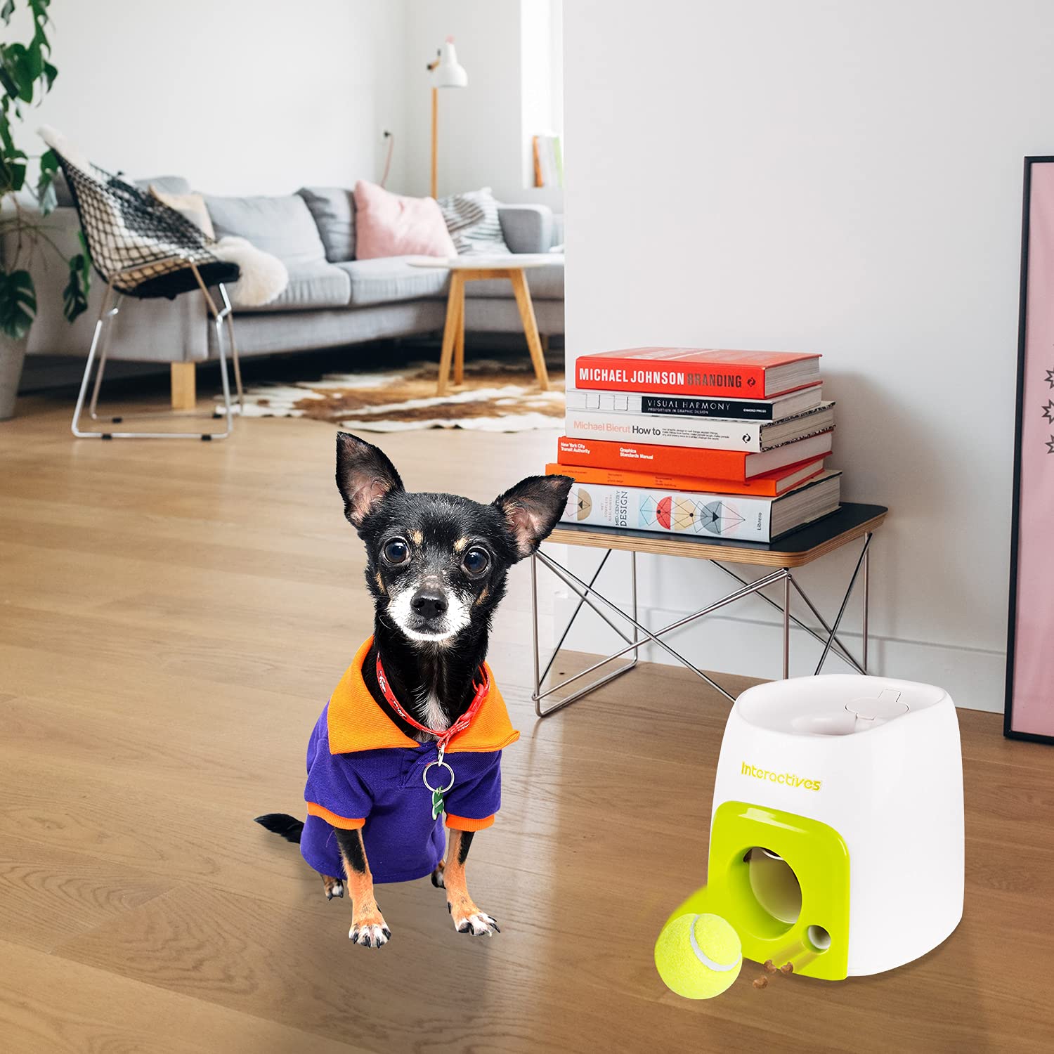 ALL FOR PAWS Fetch'N Treat Interactive Dog Toy | Gravity Treat Dispenser | Includes Tennis Ball 6