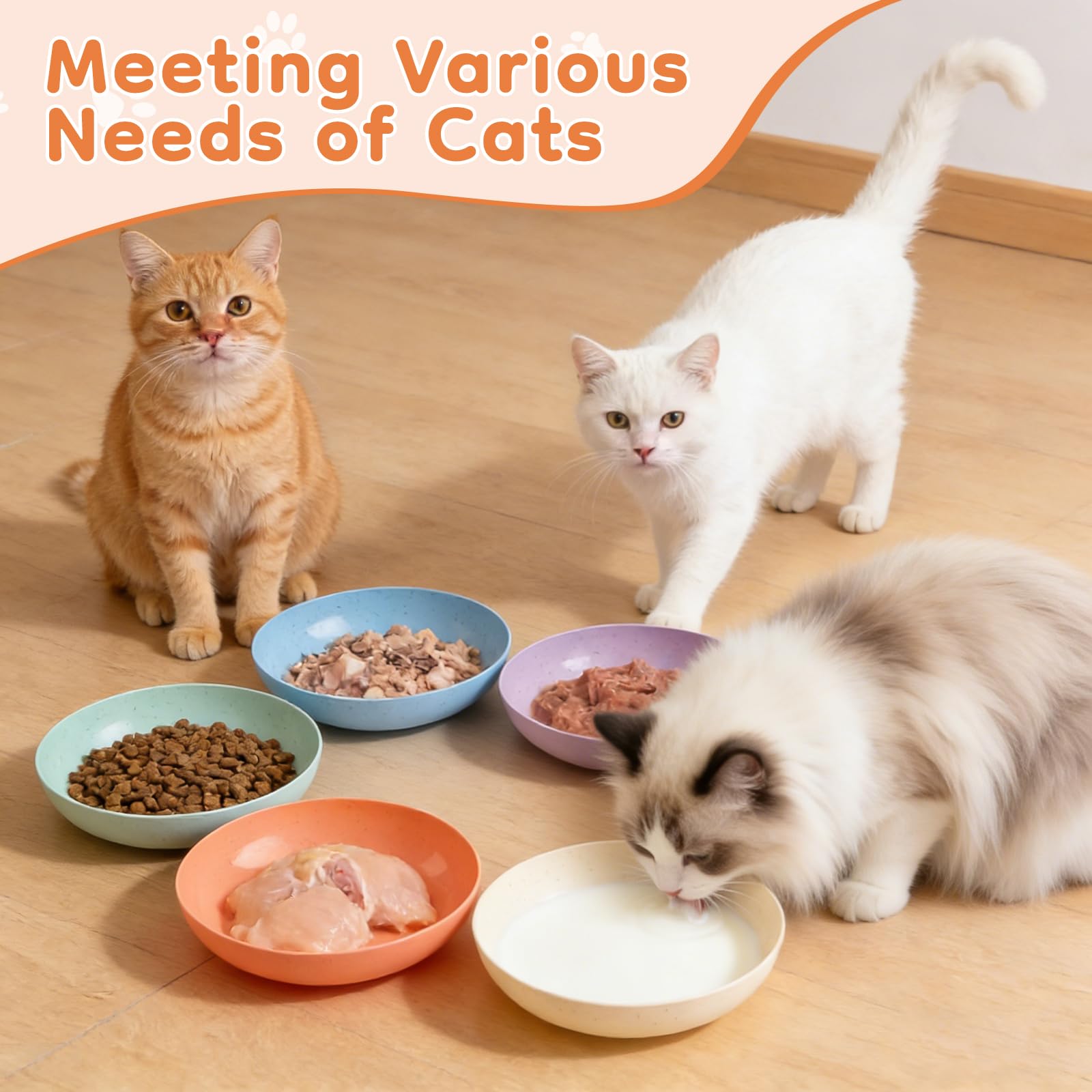 MOXYOY 5-Pack Cat Bowls - Whisker Friendly Shallow Design | Food Grade PP Material | Includes Storage Box 7