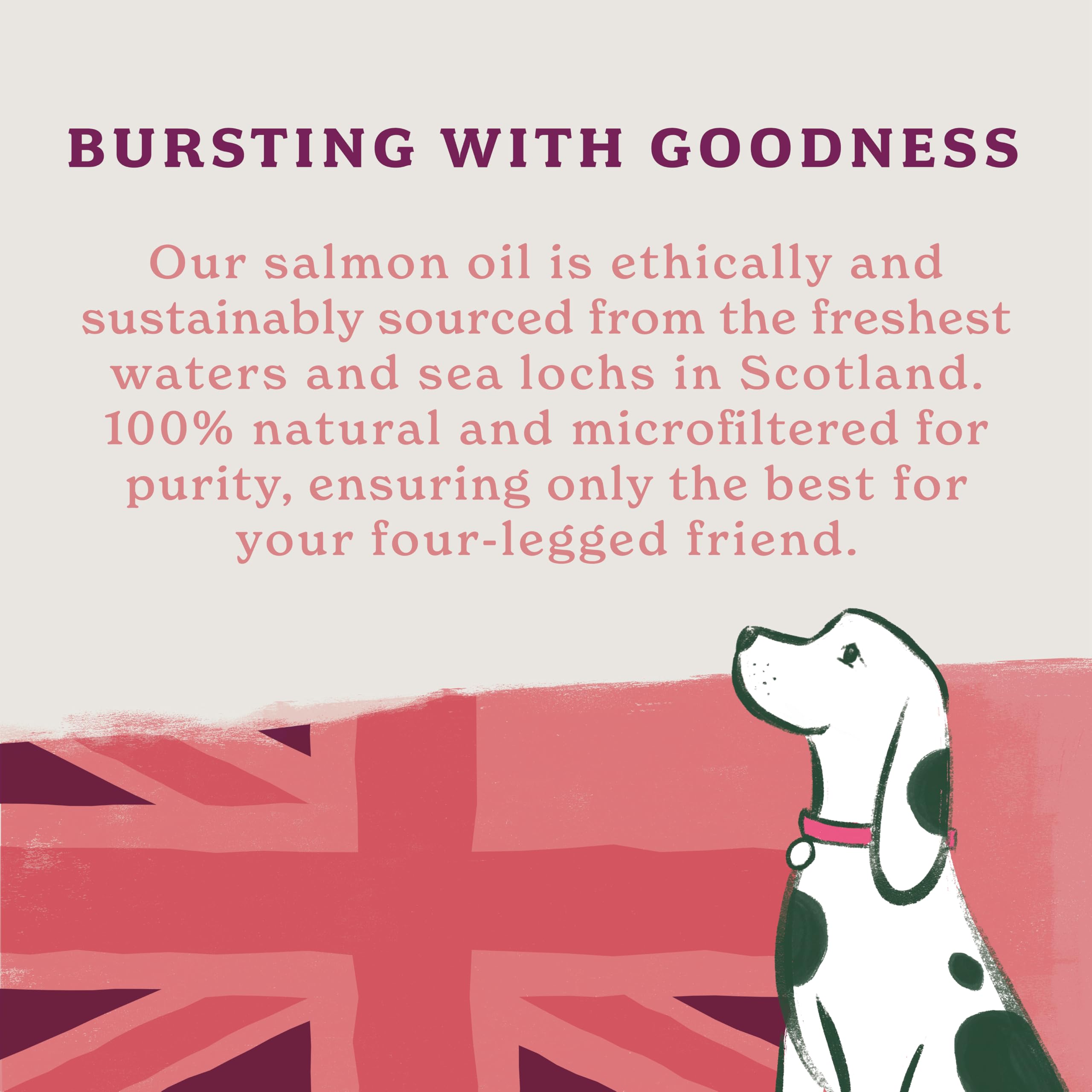 Forthglade Scottish Salmon Oil for Dogs - 100% Natural Omega 3, 6, 9 | 500ml Bottle