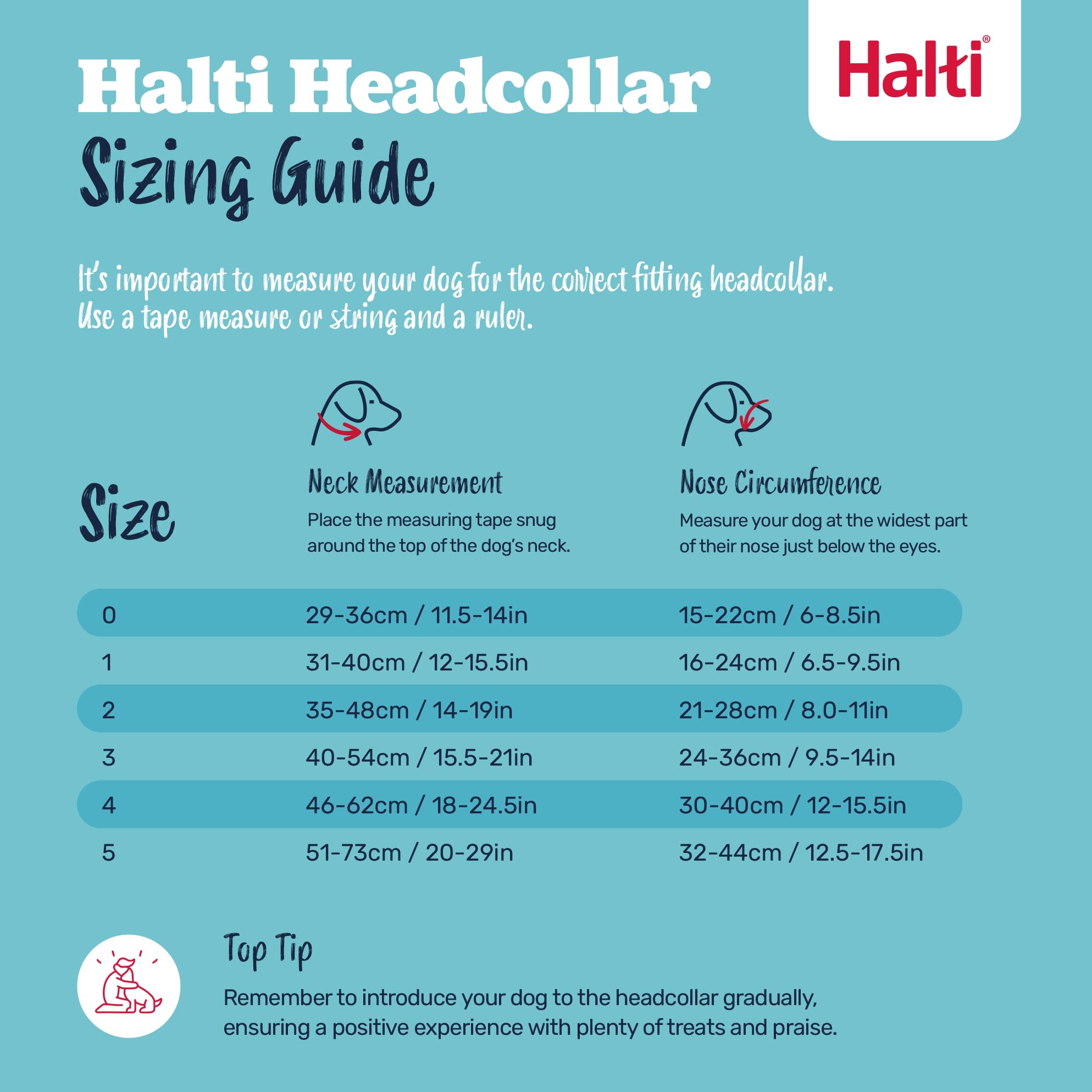Halti Headcollar - Stops Dog Pulling | Size 2 | Burnt Orange | Reflective 5