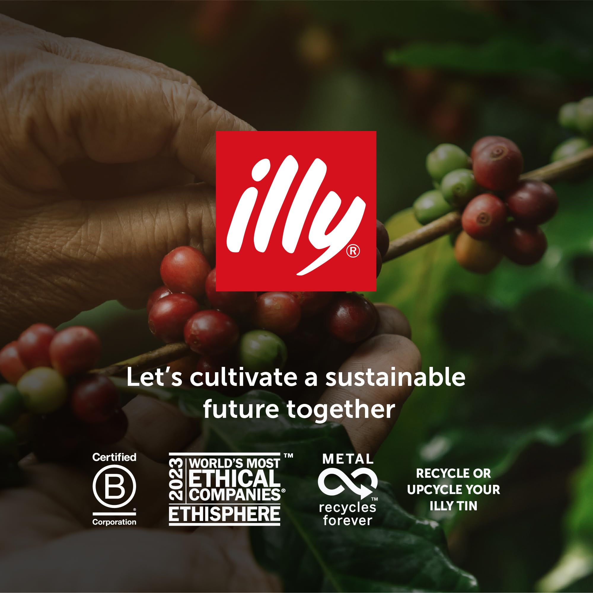 illy Coffee Beans - India Dark Roast - 100% Whole Arabica - 250g Tin 7