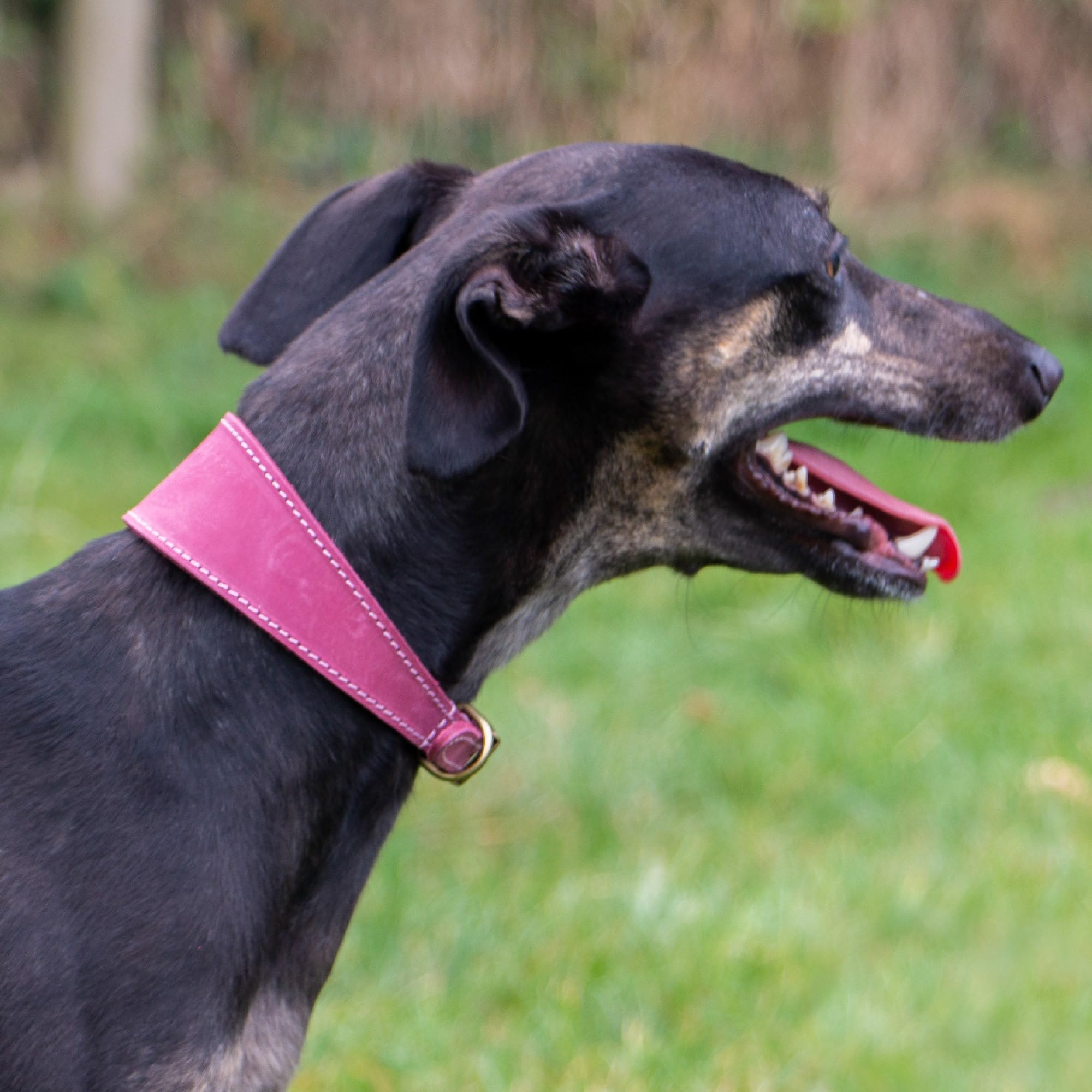 Ancol Timberwolf Leather Dog Collar - Raspberry | 30-34 cm Size | UK Crafted 4