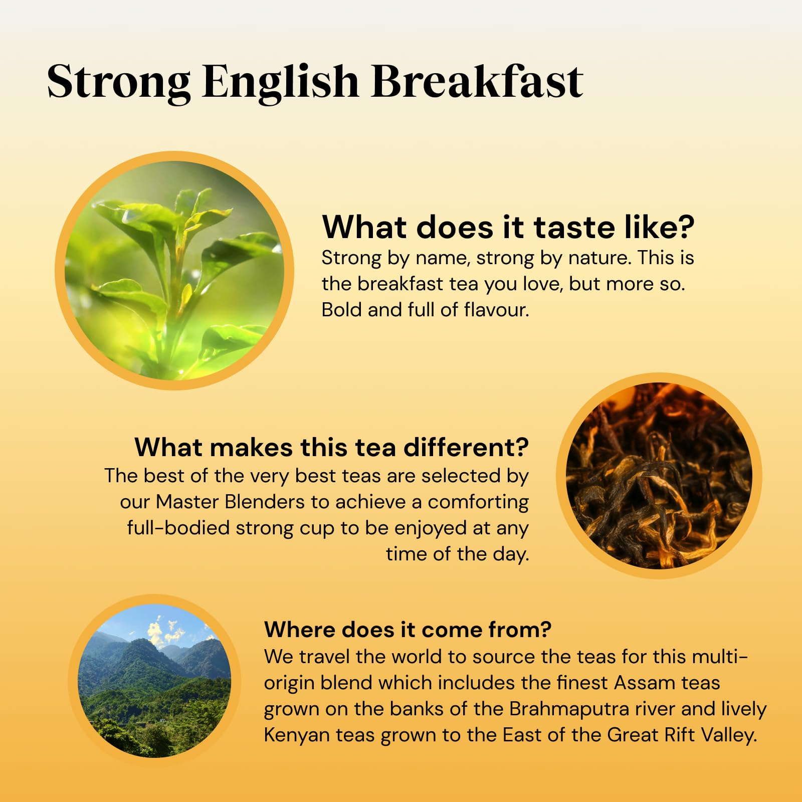 Twinings English Strong Breakfast Tea, 320 Tea Bags (Multipack of 4 x 80) 13