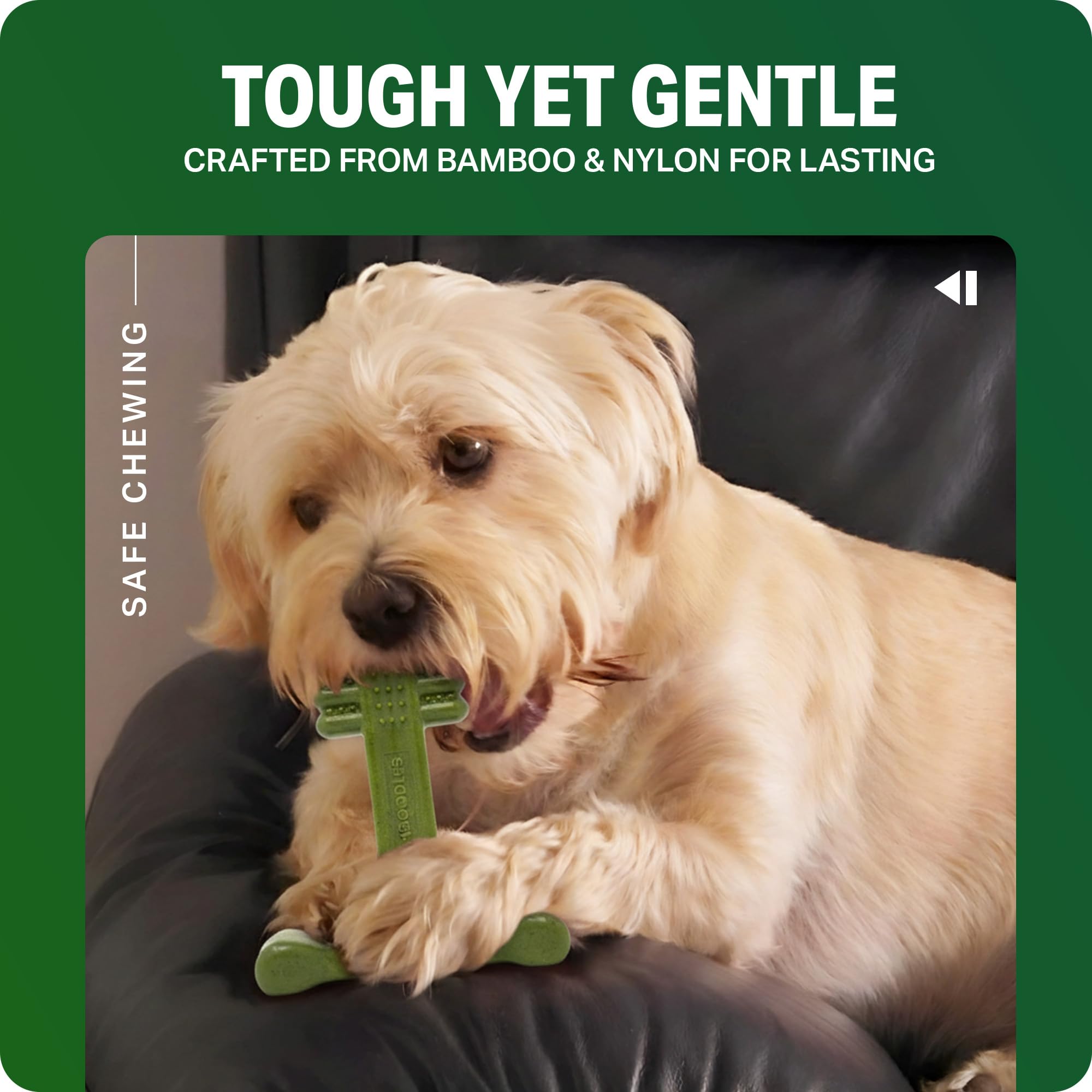 Bamboodles T-Bone Dog Chew Toy - Large | Mint & Lamb Flavour | Heavy Duty 6