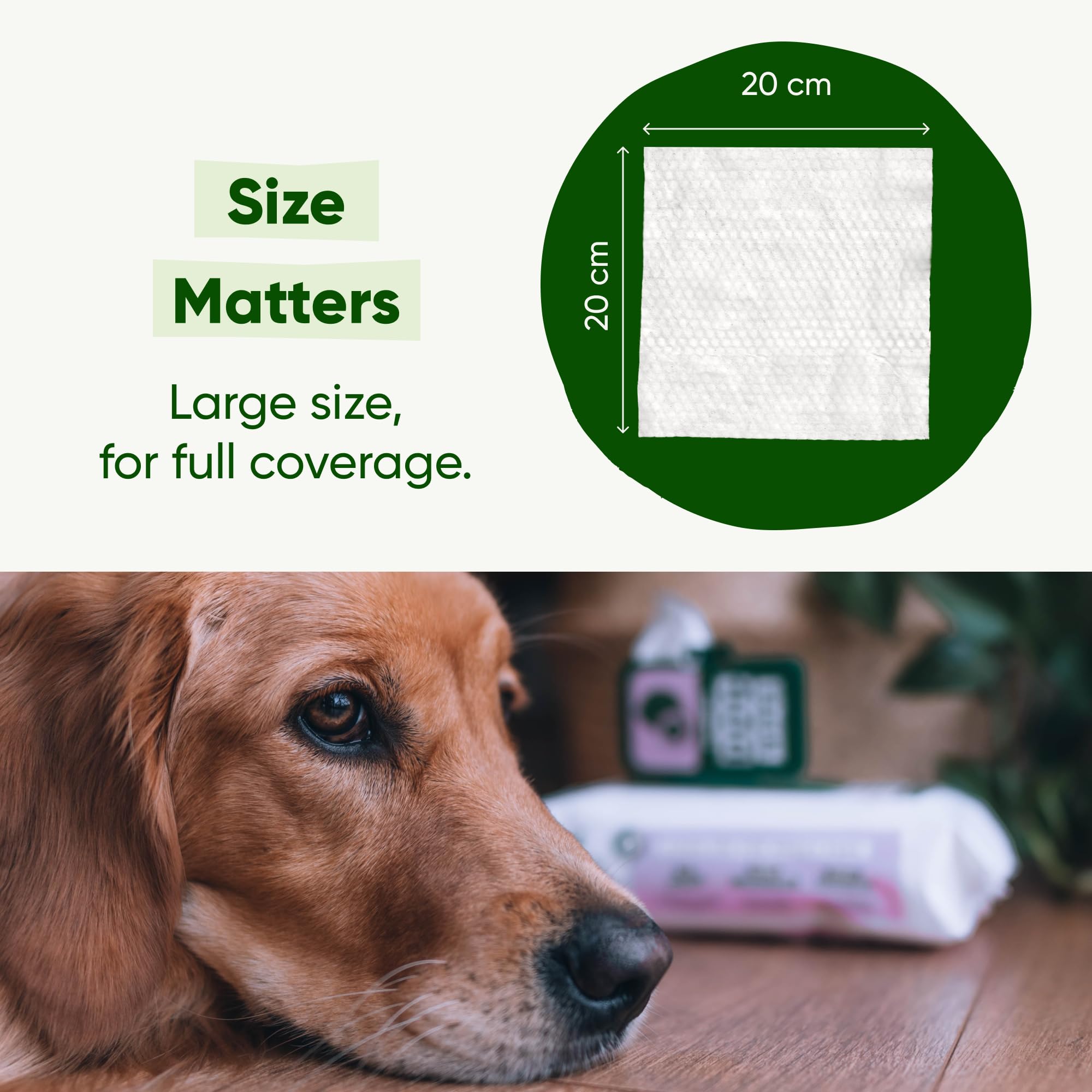 Beco Dog Wipes - Coconut Scented, Hypoallergenic, 80 Count Pack 6