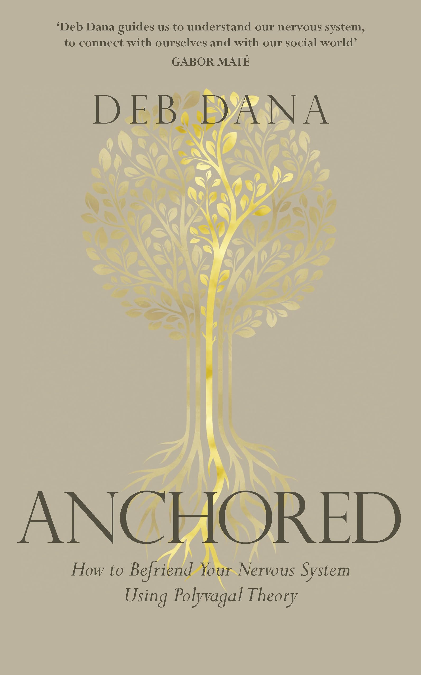 Vermilion Anchored: How to Befriend Your Nervous System Using Polyvagal Theory | Paperback