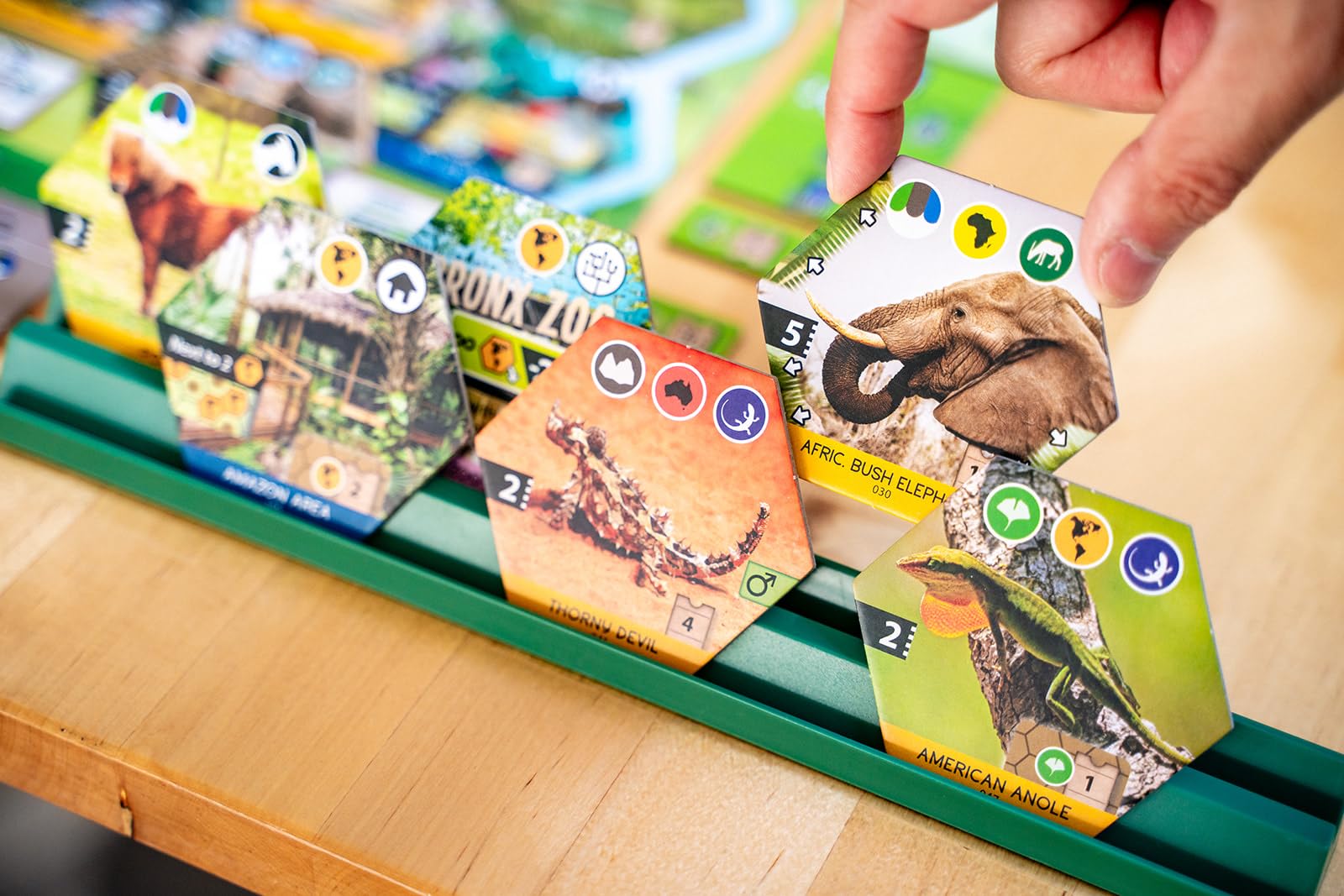 Capstone Games Sanctuary Board Game | 1-5 Players | Ages 12+ | Standard Edition 5