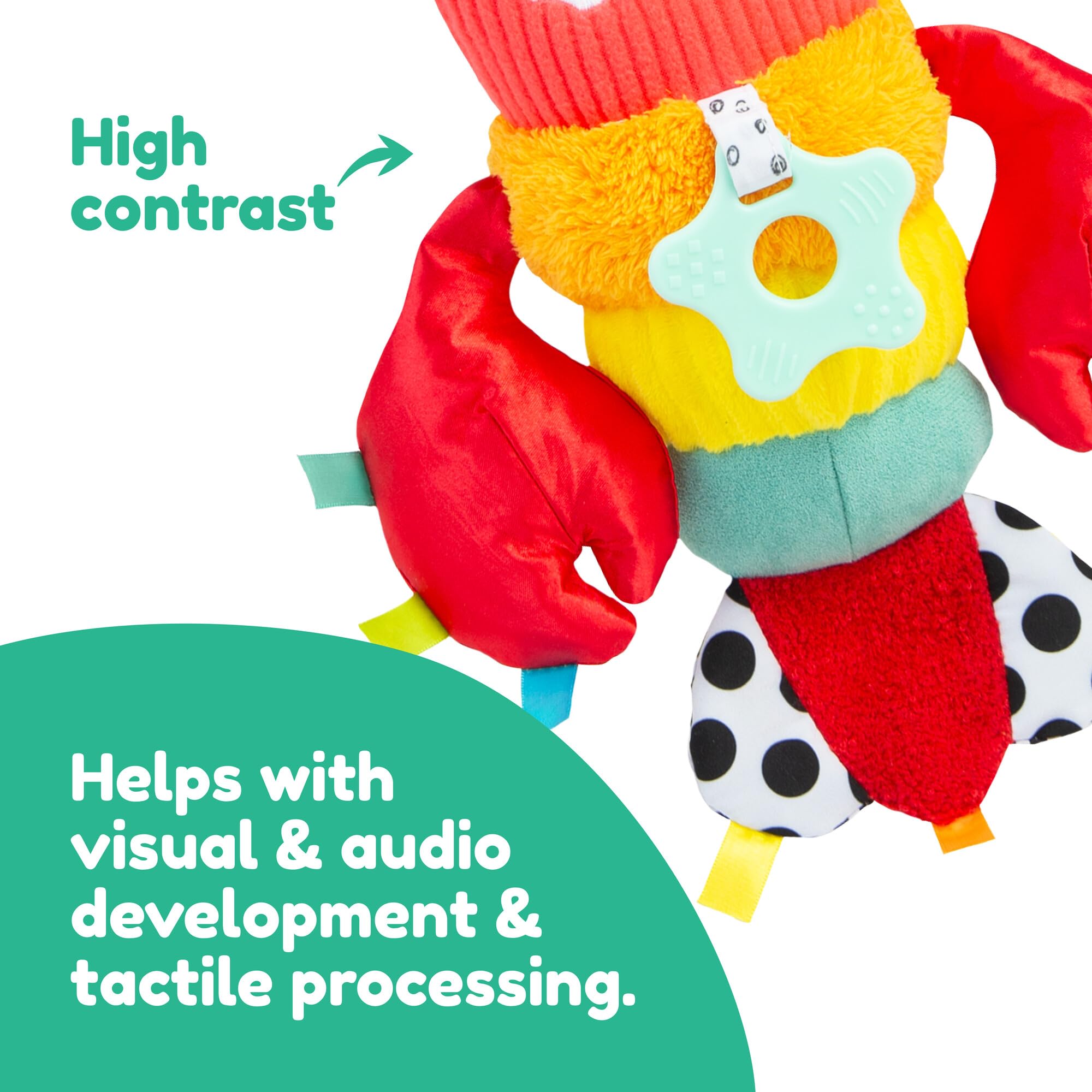 LAMAZE Liam The Lobster Clip & Go Sensory Toy | Textured | Ages 26-52 Months 4