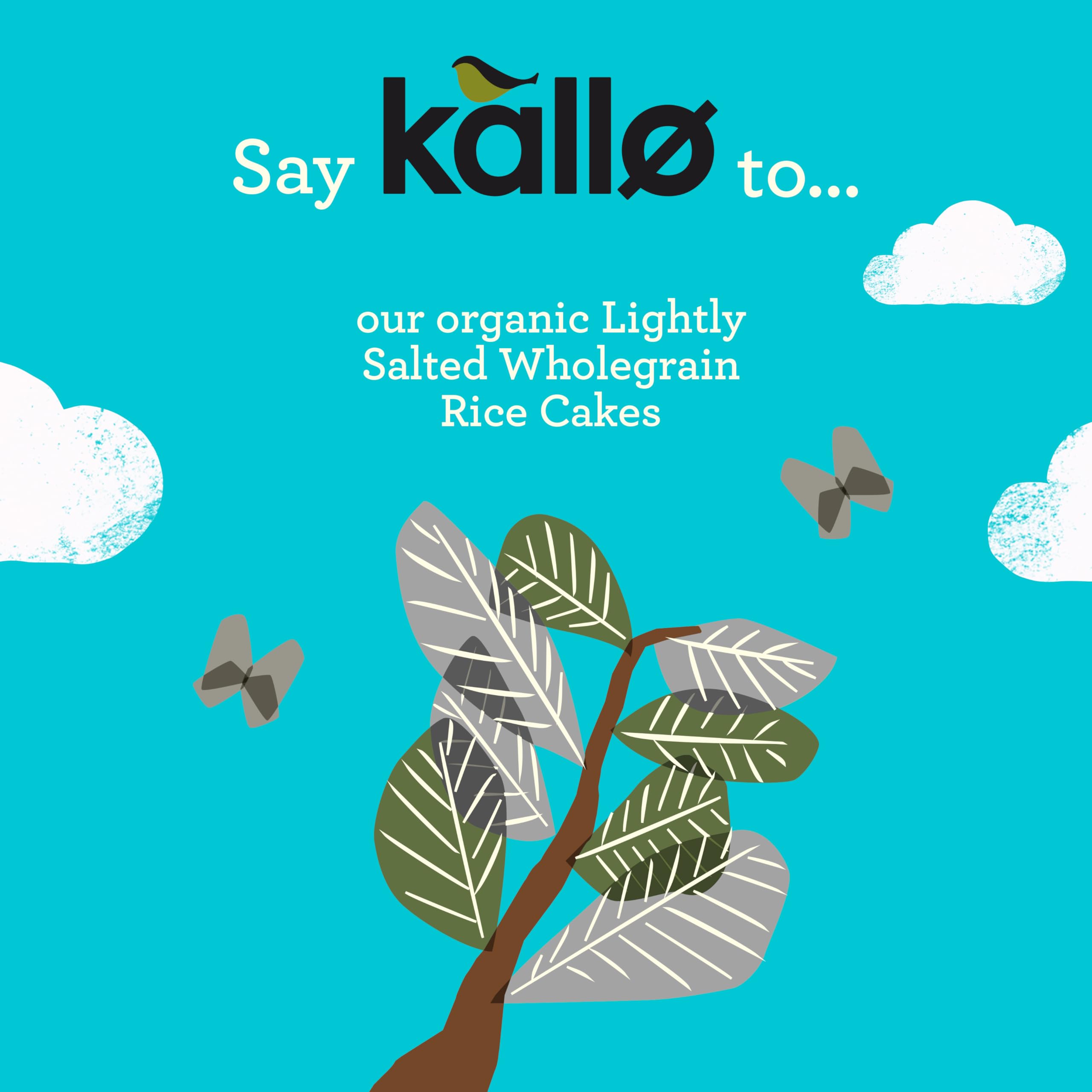 Kallo Organic Lightly Salted Rice Cakes - 12 x 130g Packs | Wholegrain, Gluten Free 3