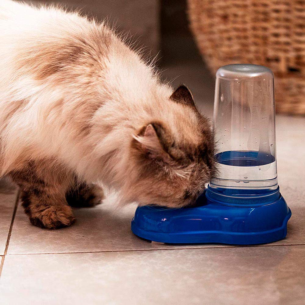 Ferplast AZIMUT 600 Automatic Pet Feeder/Water Dispenser - 0.6L Capacity | White Plastic 4