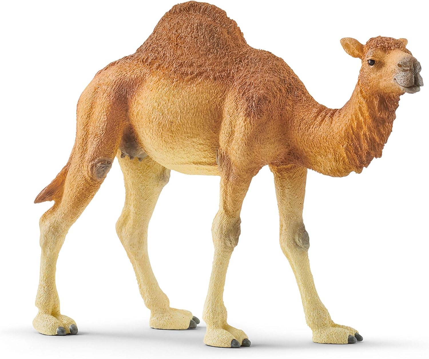 Schleich 14832 Dromedary Wild Life Toy Figurine | Ages 3-8 | Beige/Brown 8