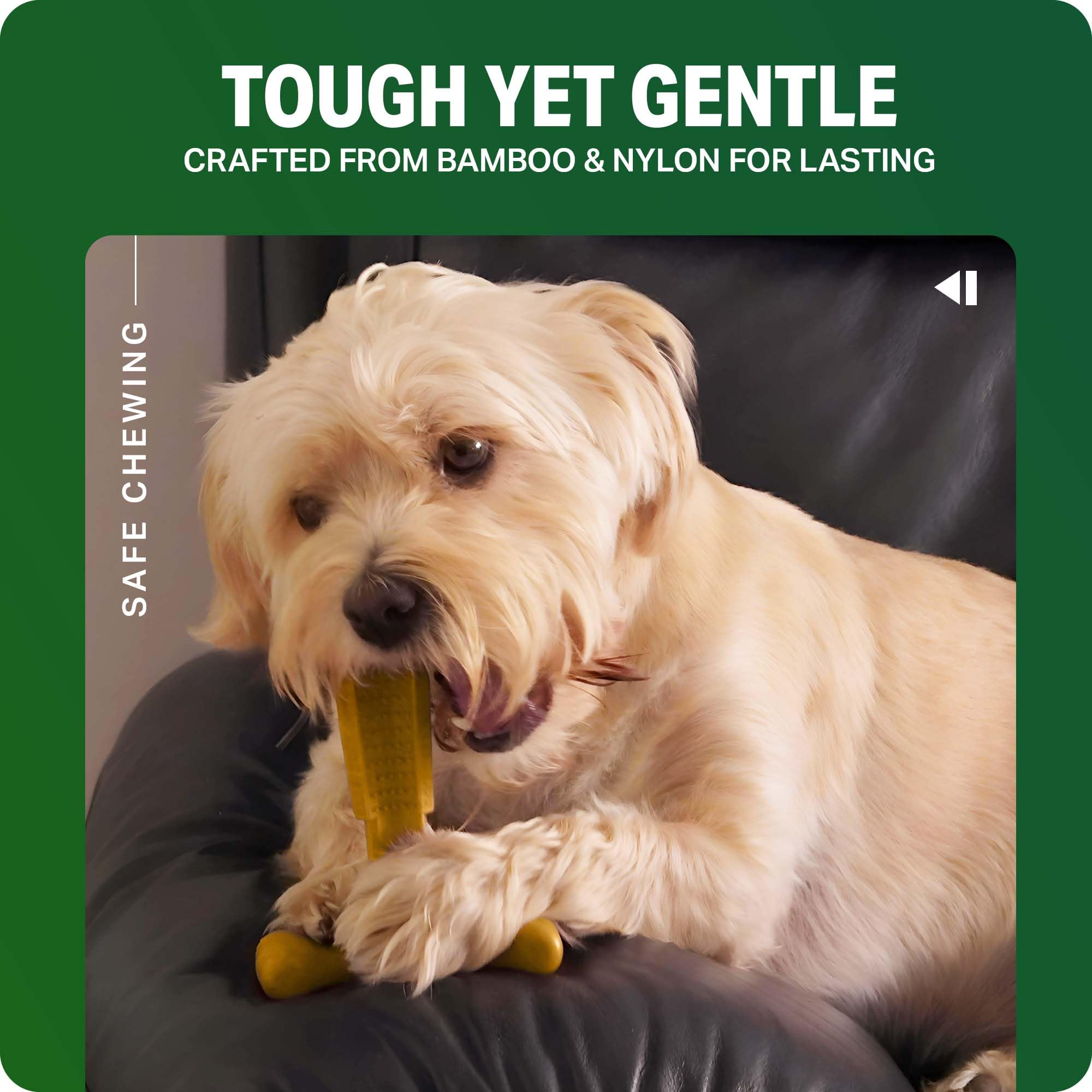 Bamboodles T-Bone Dog Chew Toy - Large | Peanut Butter Flavour | Durable Nylon 6