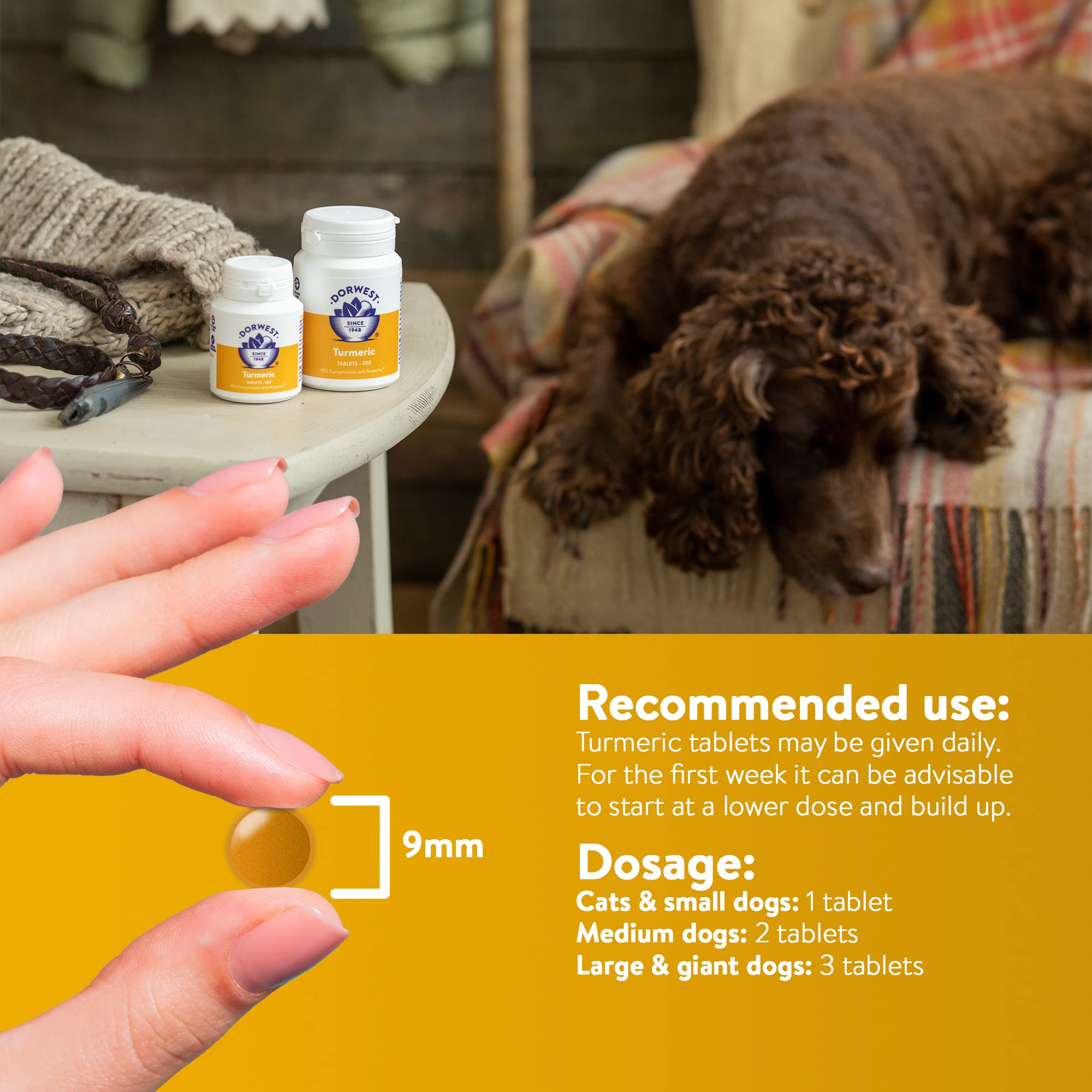 DORWEST HERBS Turmeric Tablets for Dogs and Cats - Joint Support with 95% Curcuminoids | 100 Tablets 5