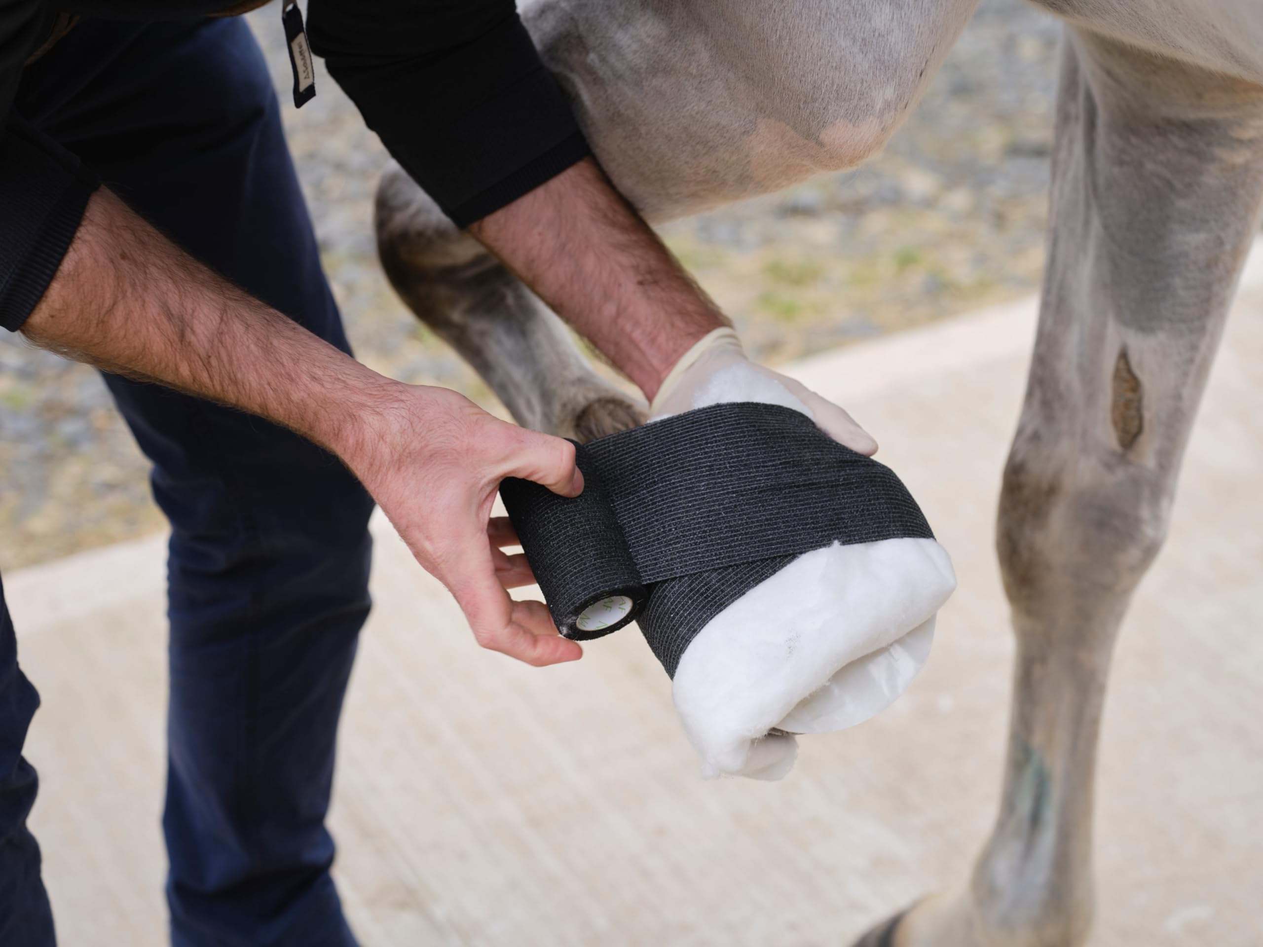 NAF NaturalintX Wraps - Box of 12 Cohesive Bandages for Horses | Self-Adhesive Support 3