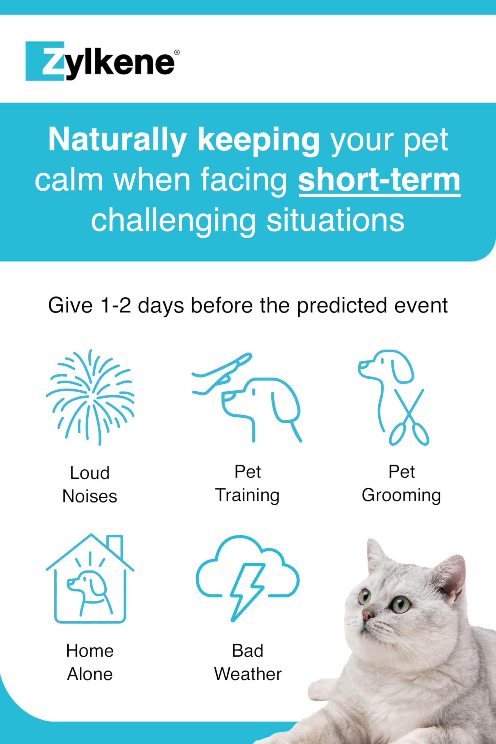 Zylkene Calming Supplements for Cats & Dogs up to 10kg 75mg | 20 Capsules 5