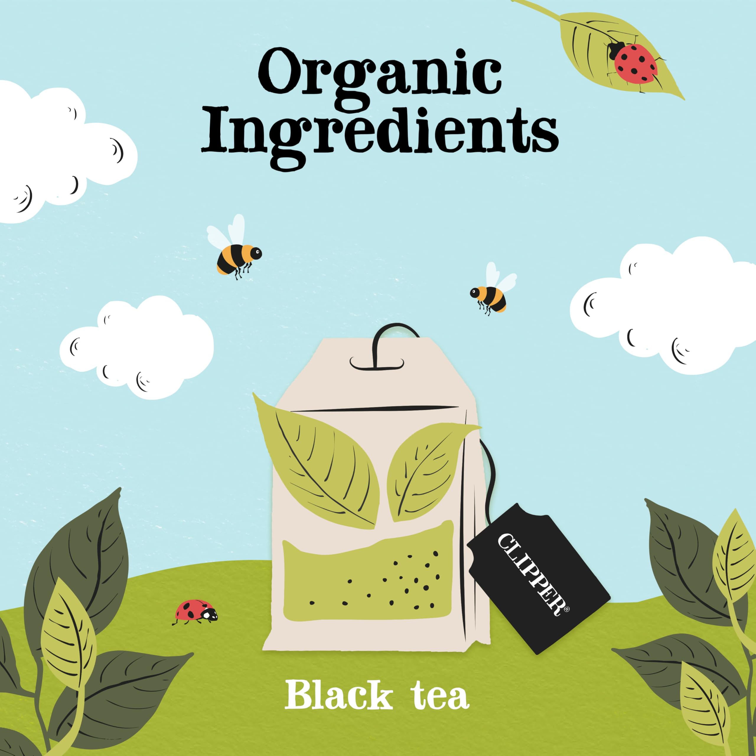 Clipper Natural, Fair & Delicious Fairtrade Organic Everyday Black Tea Bags - 40 Count, Plastic-Free 3
