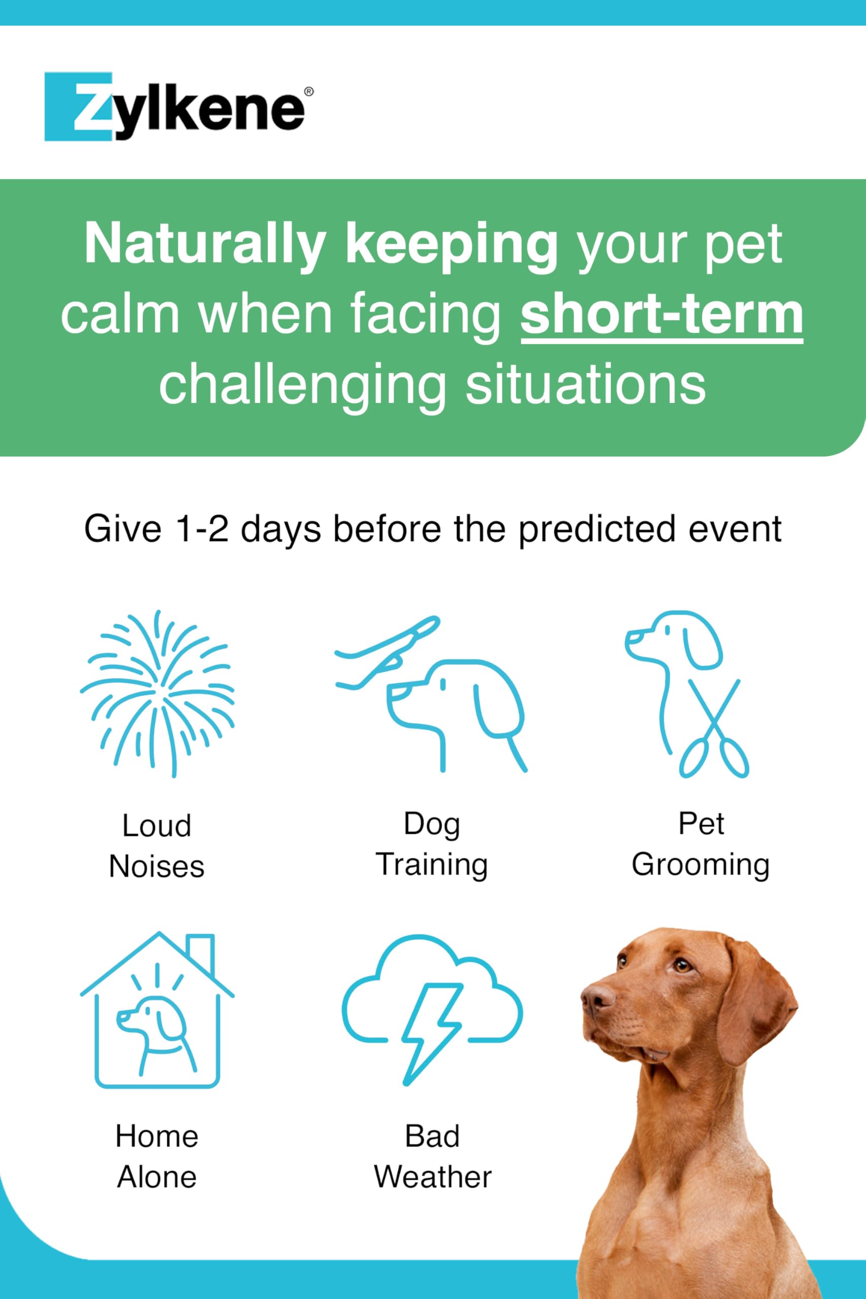 Zylkene Calming Chews for Medium Dogs (10-30kg) - Promotes Relaxation | 14 Chews 5