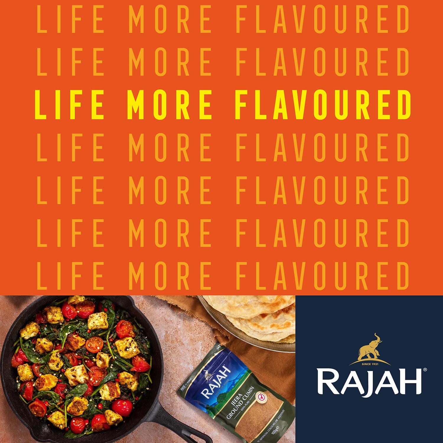Rajah - Scharfes Madras Currypulver 1KG 3