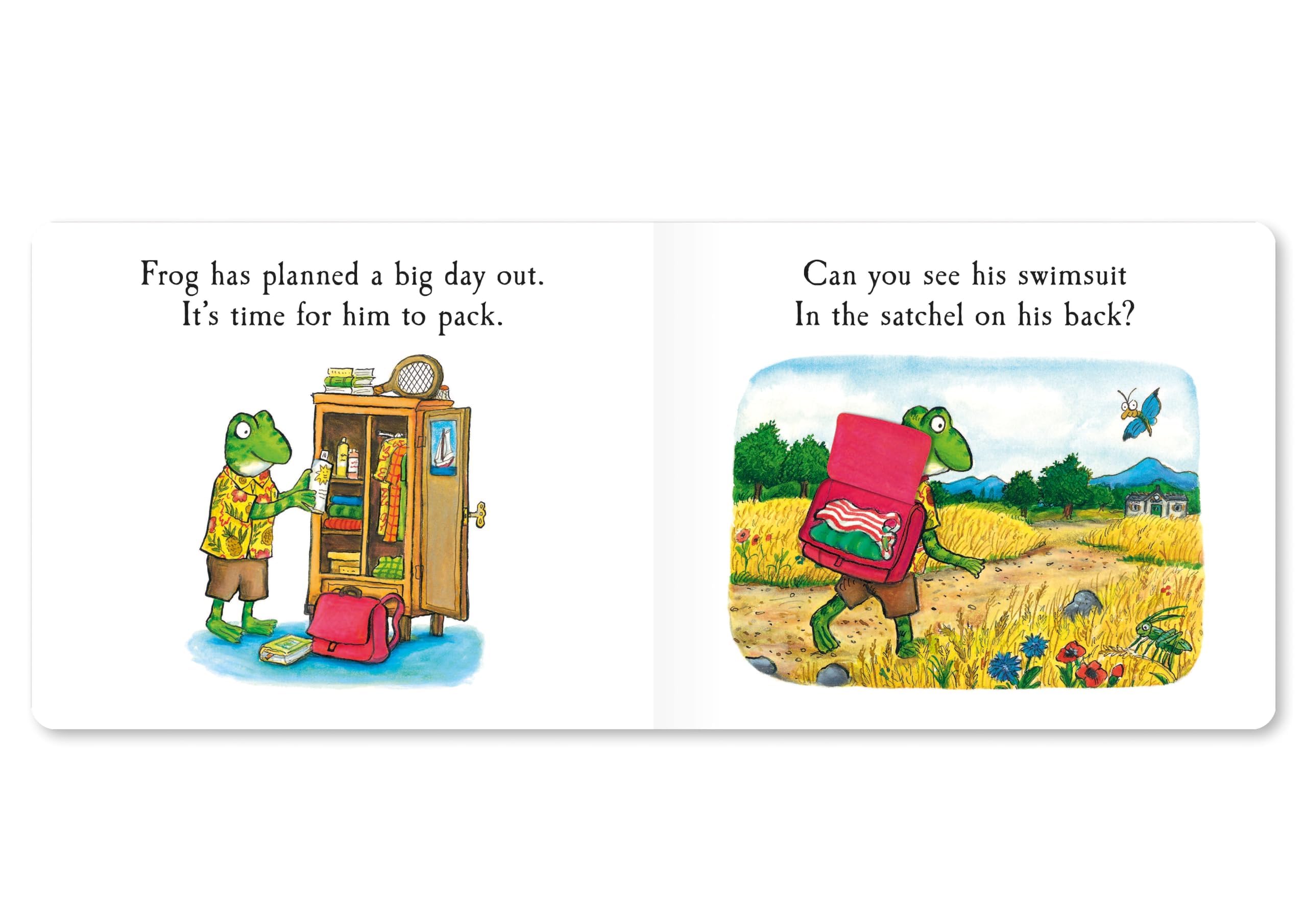 MACMILLAN Frog's Day Out: A Lift-the-flap Story | Board Book | Ages 1-3 3