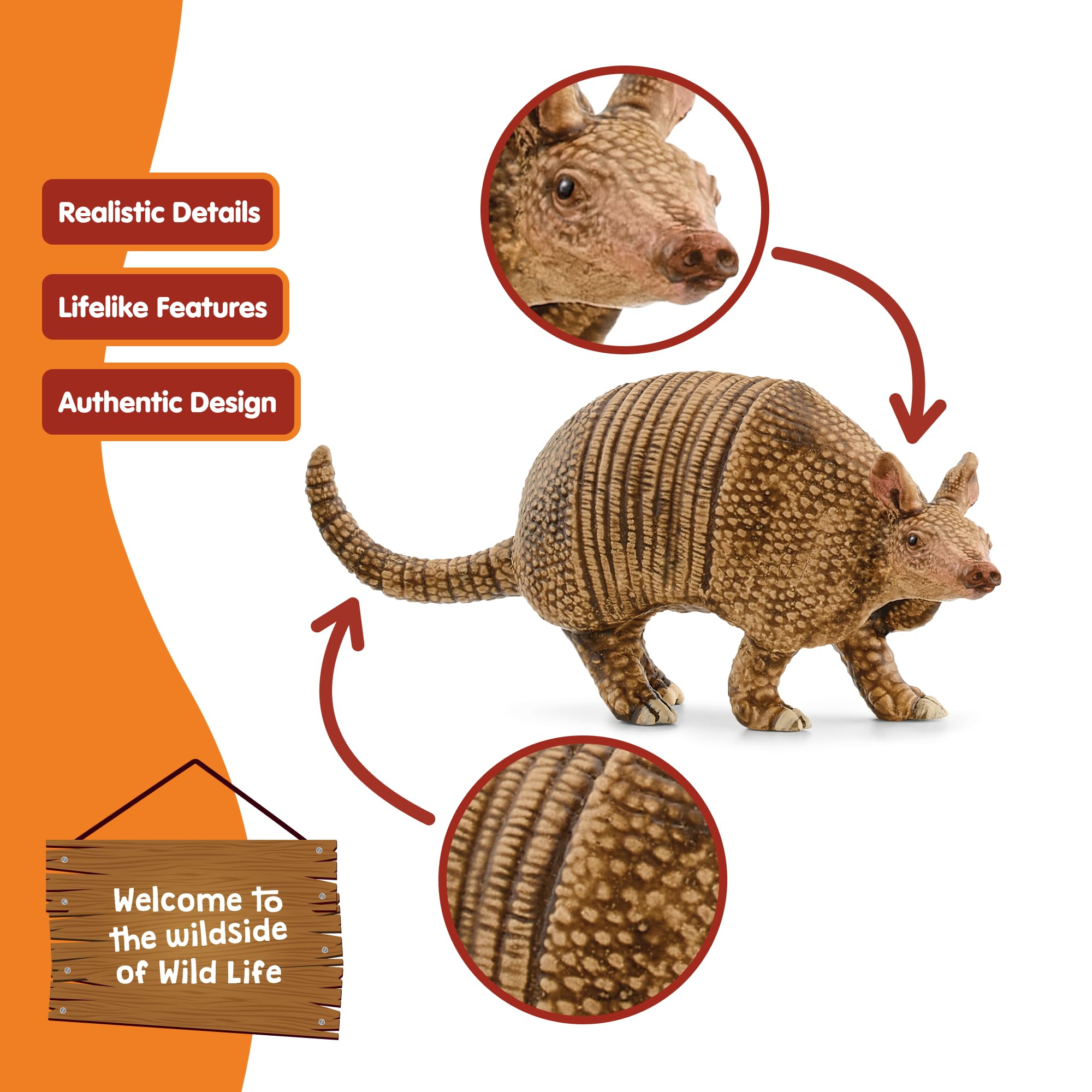 Schleich WILD LIFE Armadillo Figurine 14874 | Ages 3+ | Realistic Polyvinyl Chloride Toy 6