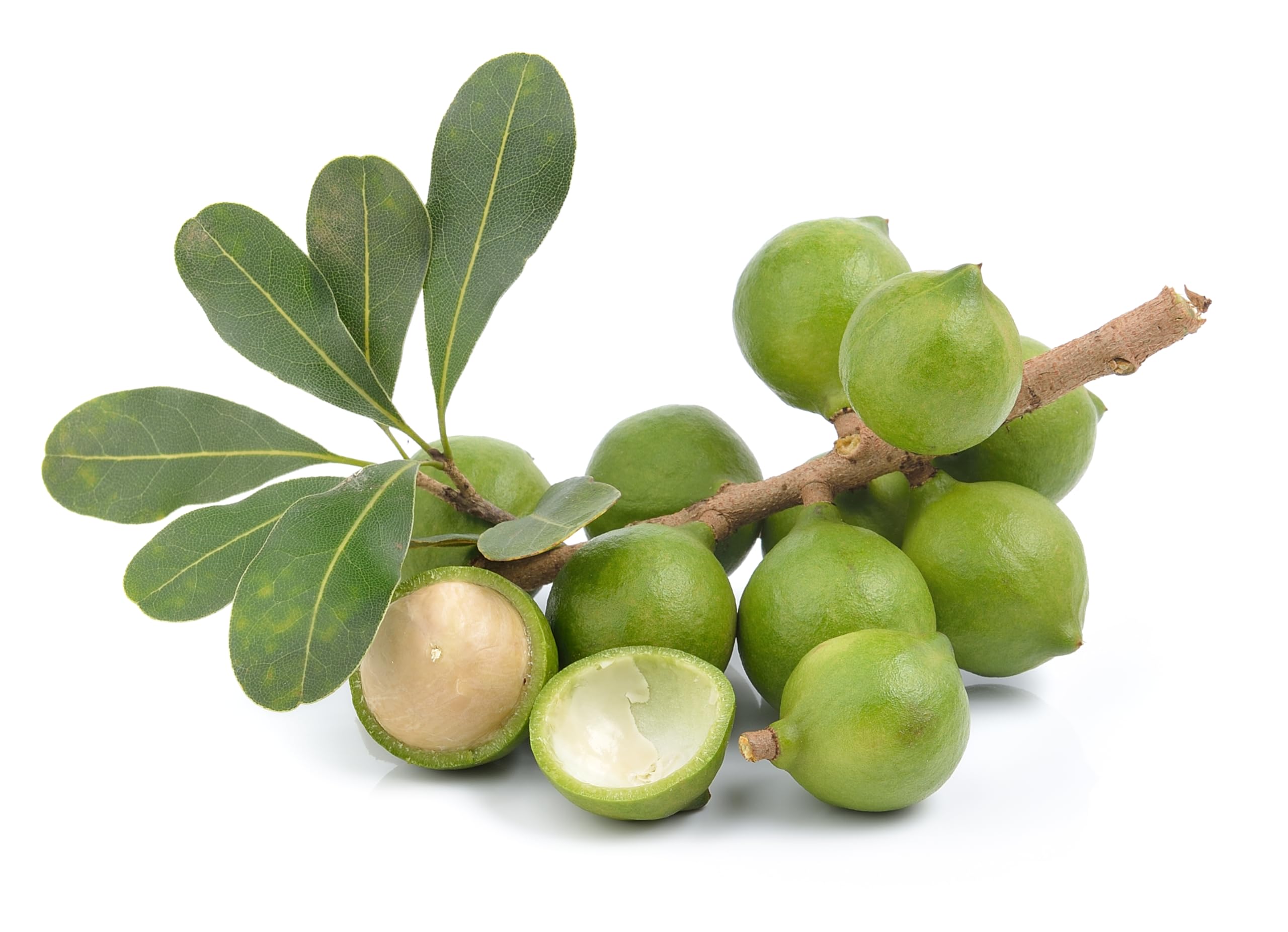 Mundo Feliz Organic Raw Macadamia Nuts - 5 x 100g Pack | Unsalted | Vegan 4