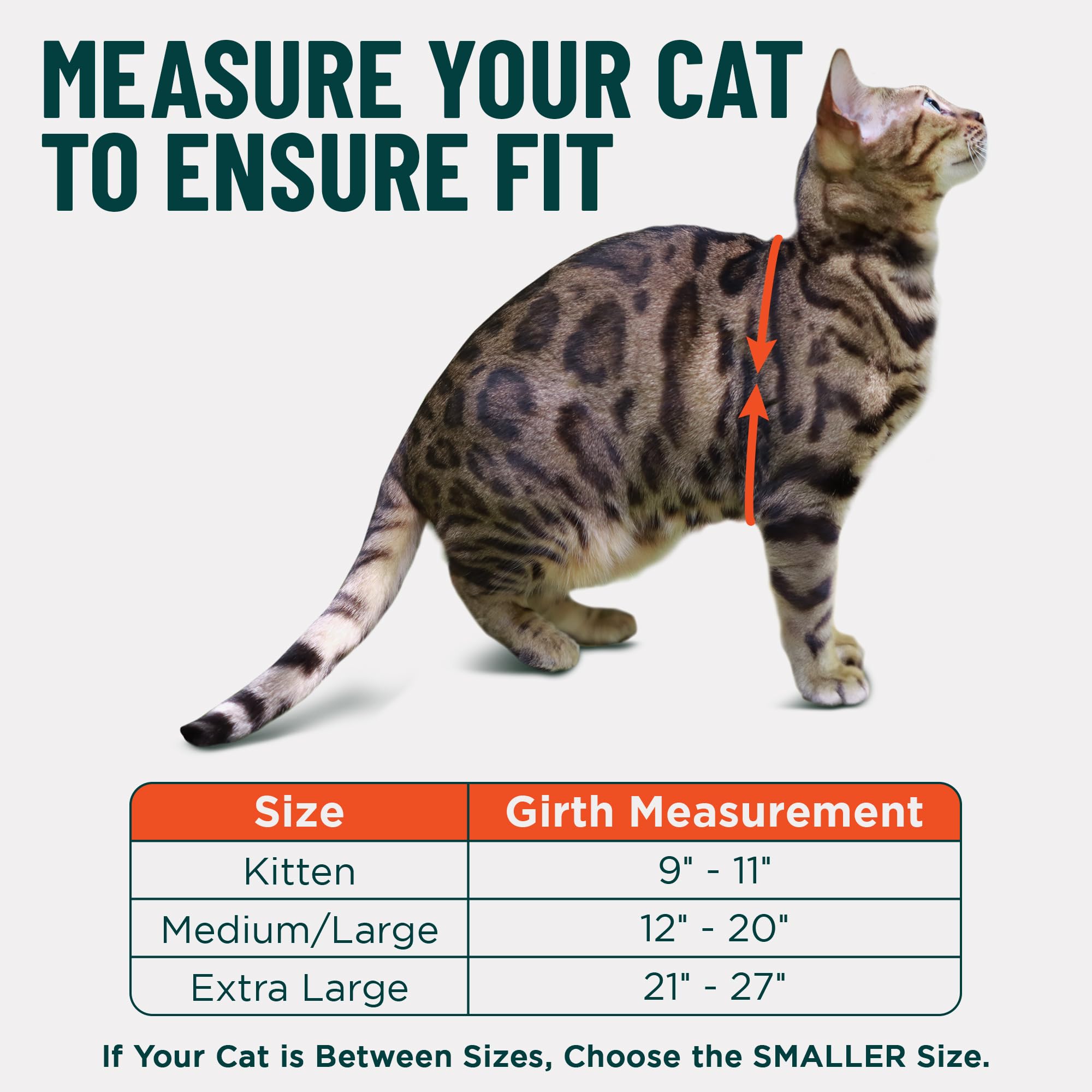 OutdoorBengal Escape Proof Cat Harness and Leash Set - Choke Free, Lightweight Neoprene | Medium, Black 5