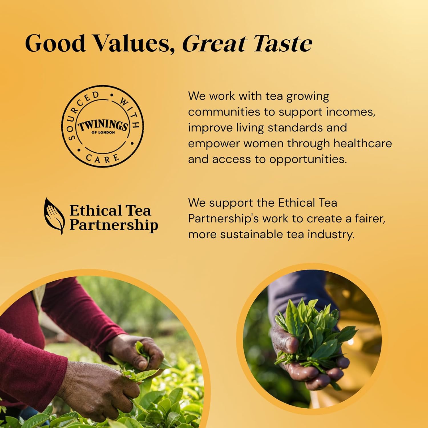 Twinings Decaffeinated Everyday Tea 320 Tea Bags (Pack of 4) - Rich & Full-Bodied Black Tea 3
