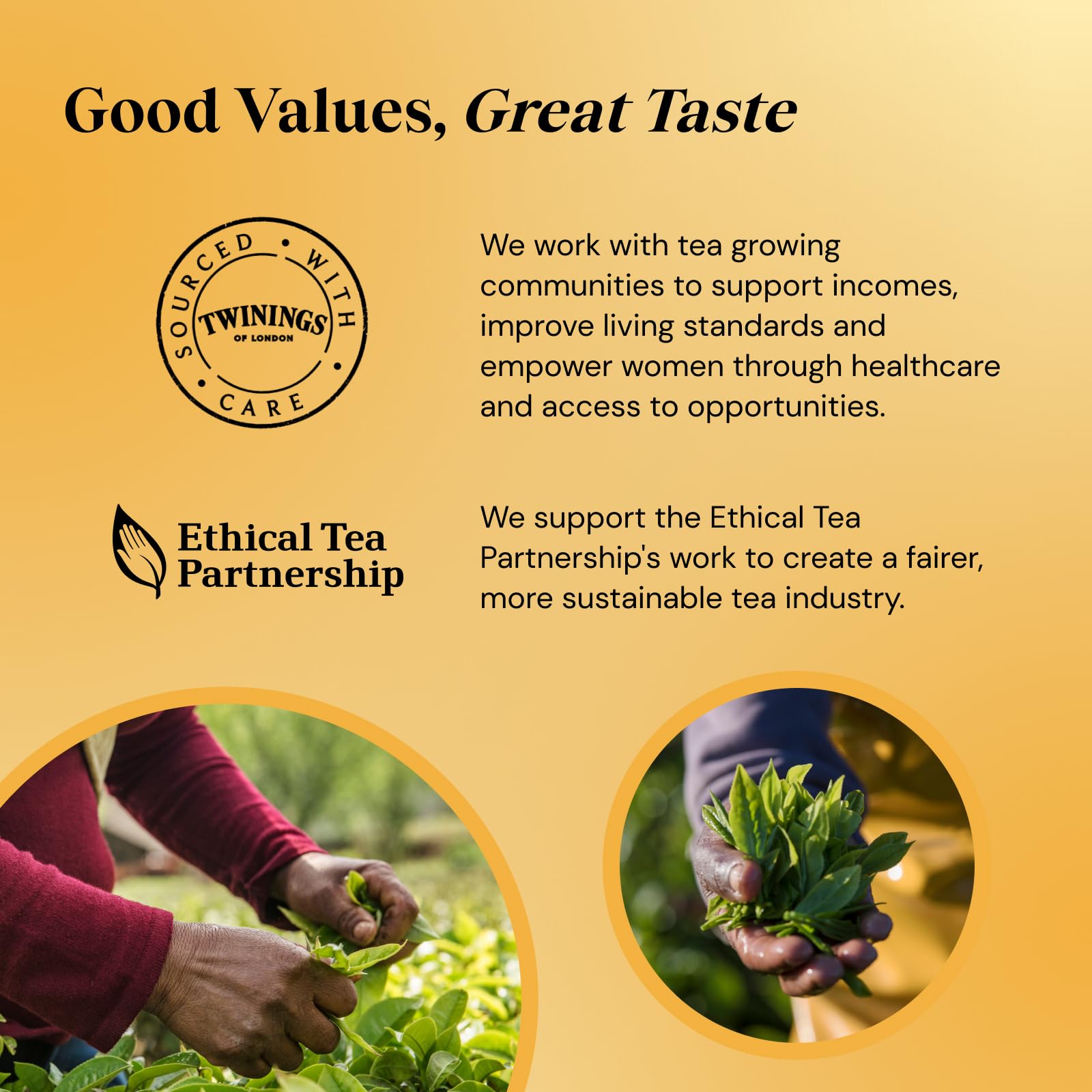 Twinings English Strong Breakfast Tea, 320 Tea Bags (Multipack of 4 x 80) 14