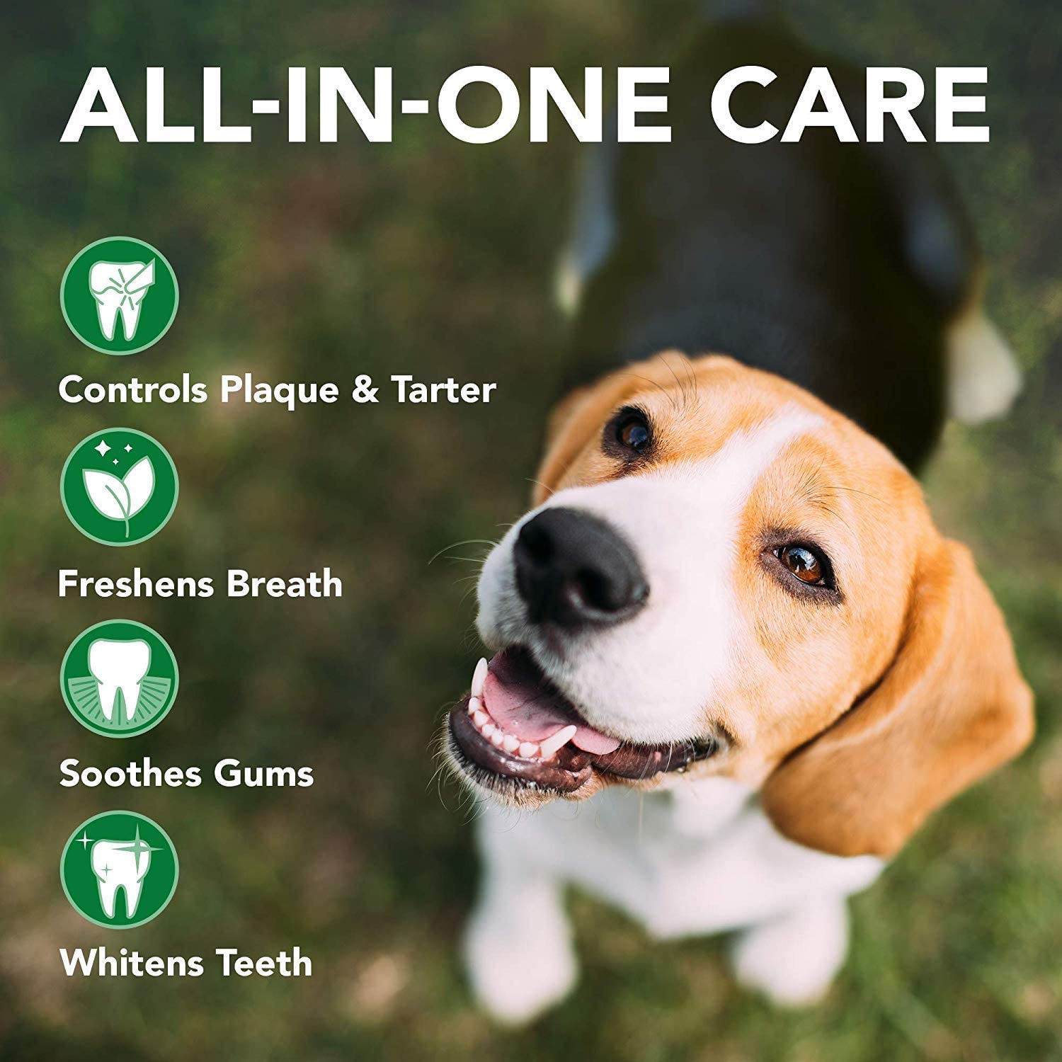 Vet's Best Triple Headed Toothbrush for Dogs - Fast Cleaning & Fresh Breath | Easy Grip 3