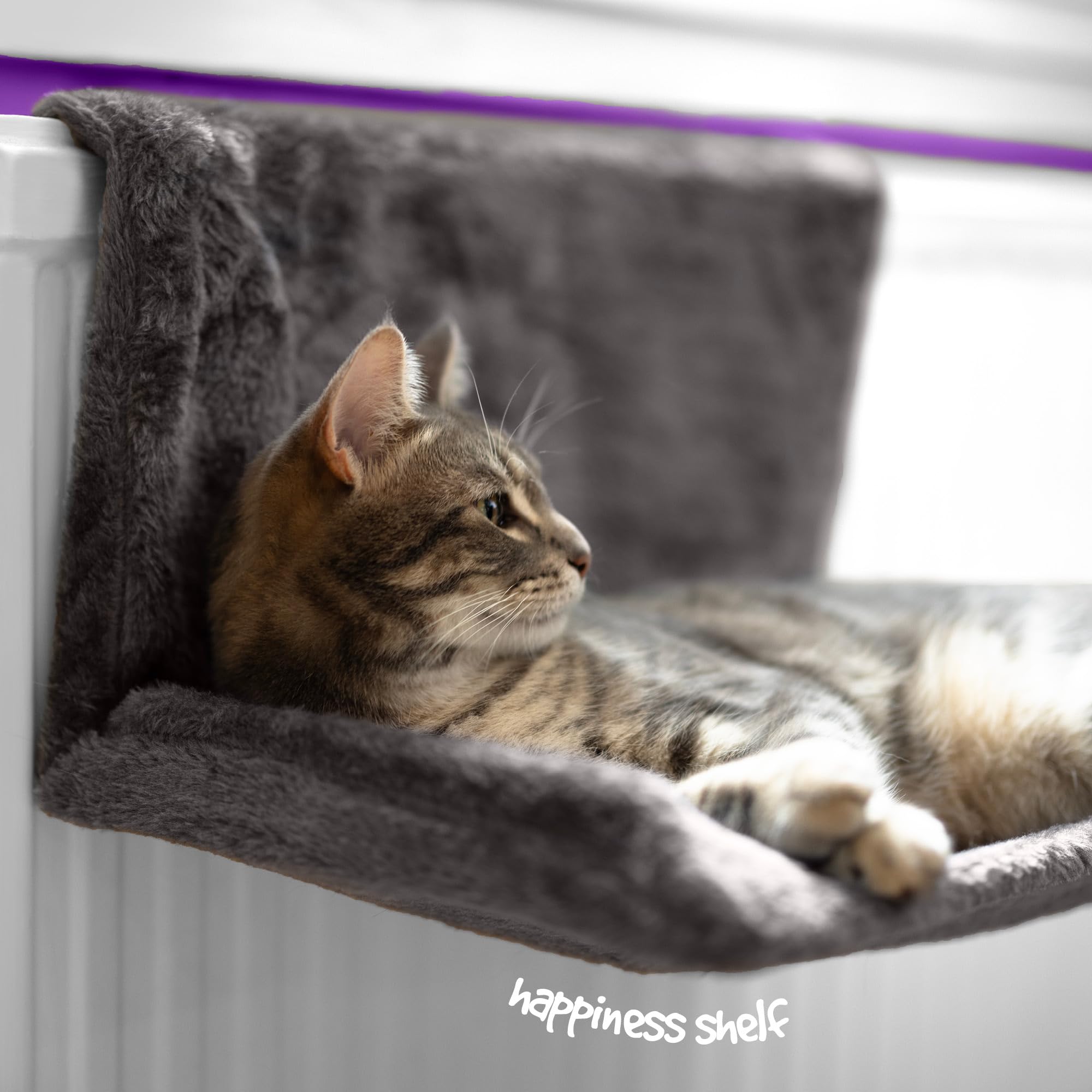 Petlicity Warm & Cosy Radiator Bed for Cats and Small Dogs up to 5kg | Grey | H25cm x W46cm x D30cm 7