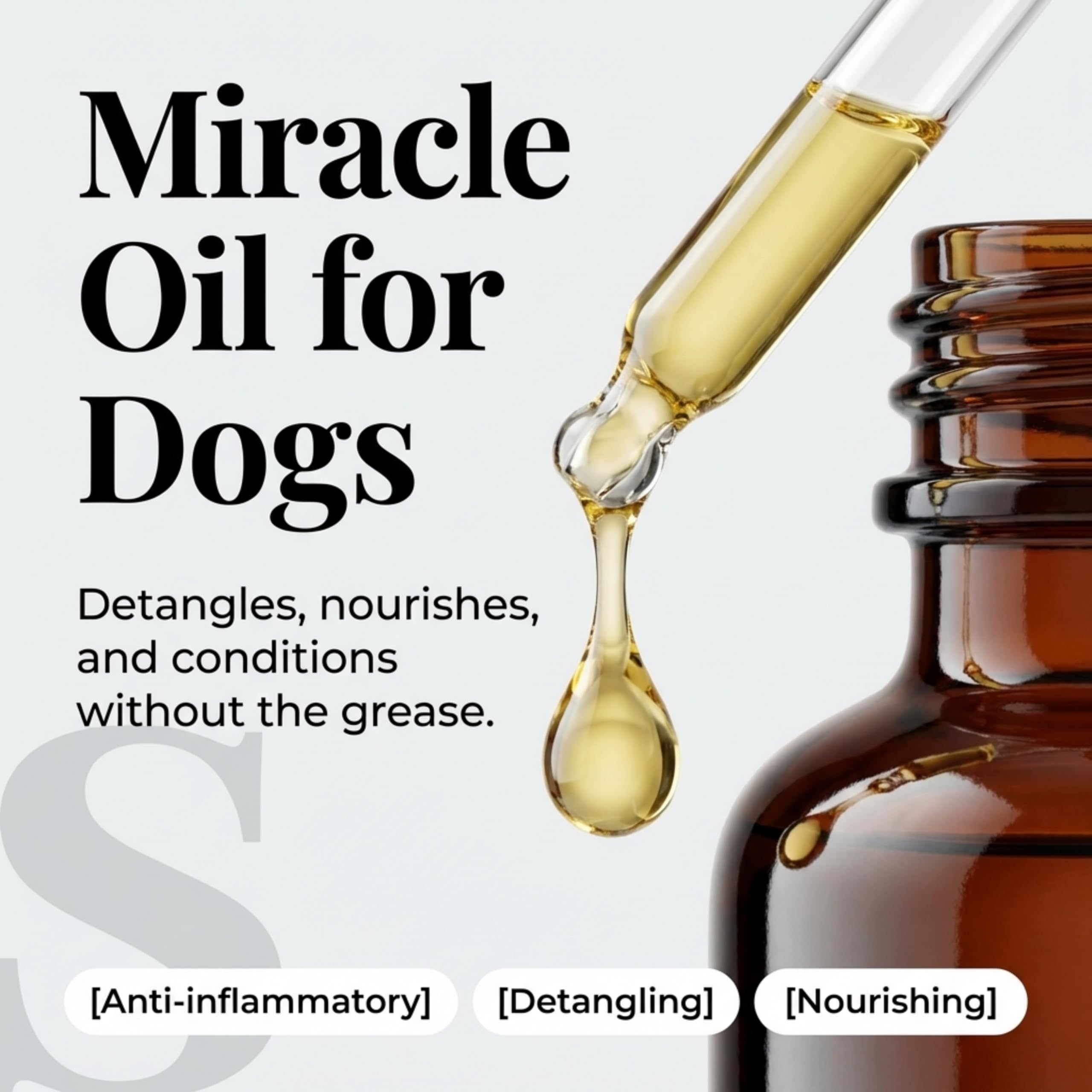 Be:Loved Be:silky Pet Skin & Coat Oil Rub - Enriching & Conditioning | 50ml 4