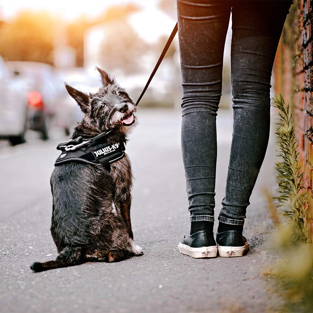 Julius-K9 IDC Powerharness - Vest Style Control Harness | Size L/1 (23-30 kg) | Black 5
