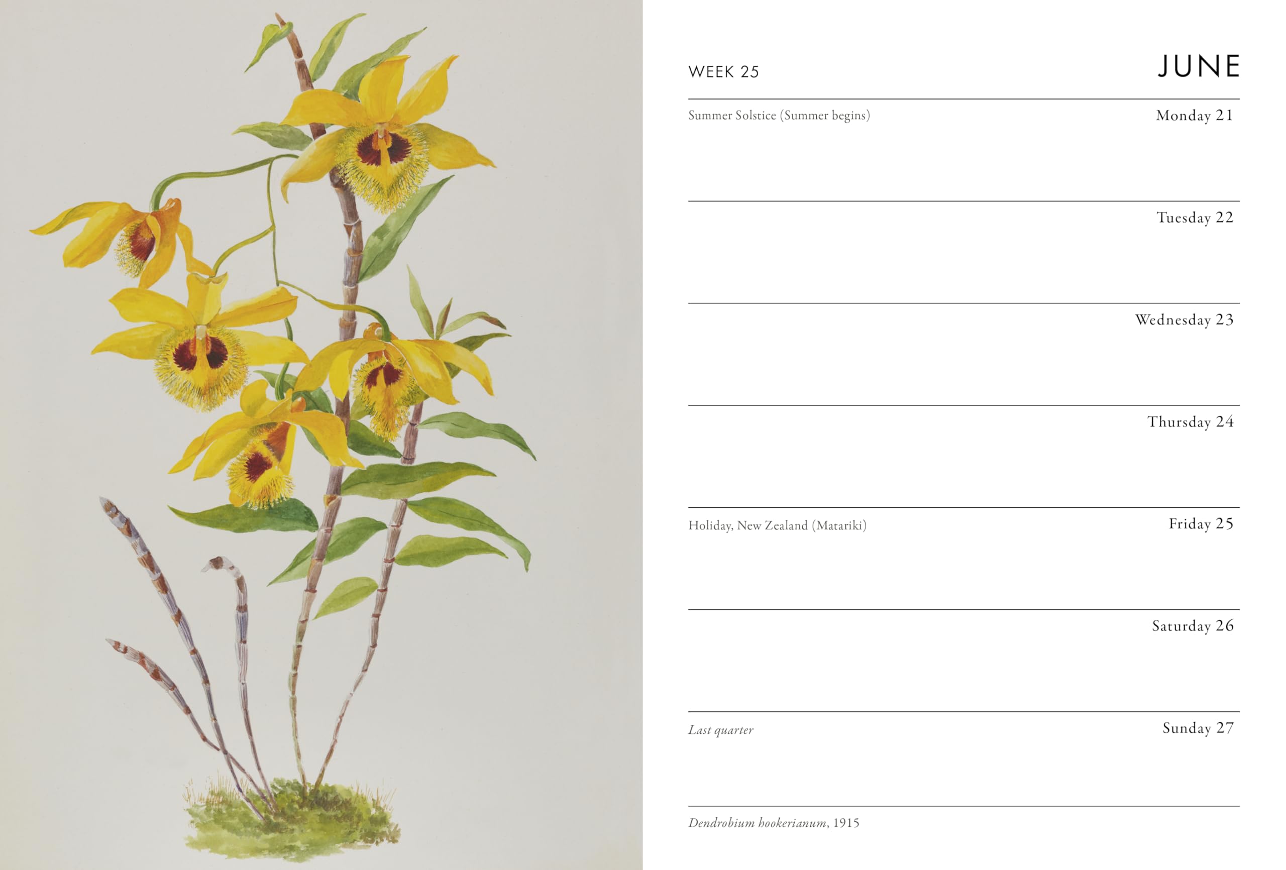 Frances Lincoln RHS Desk Diary 2027 - Week-to-View Planner | Botanical Illustrations 3