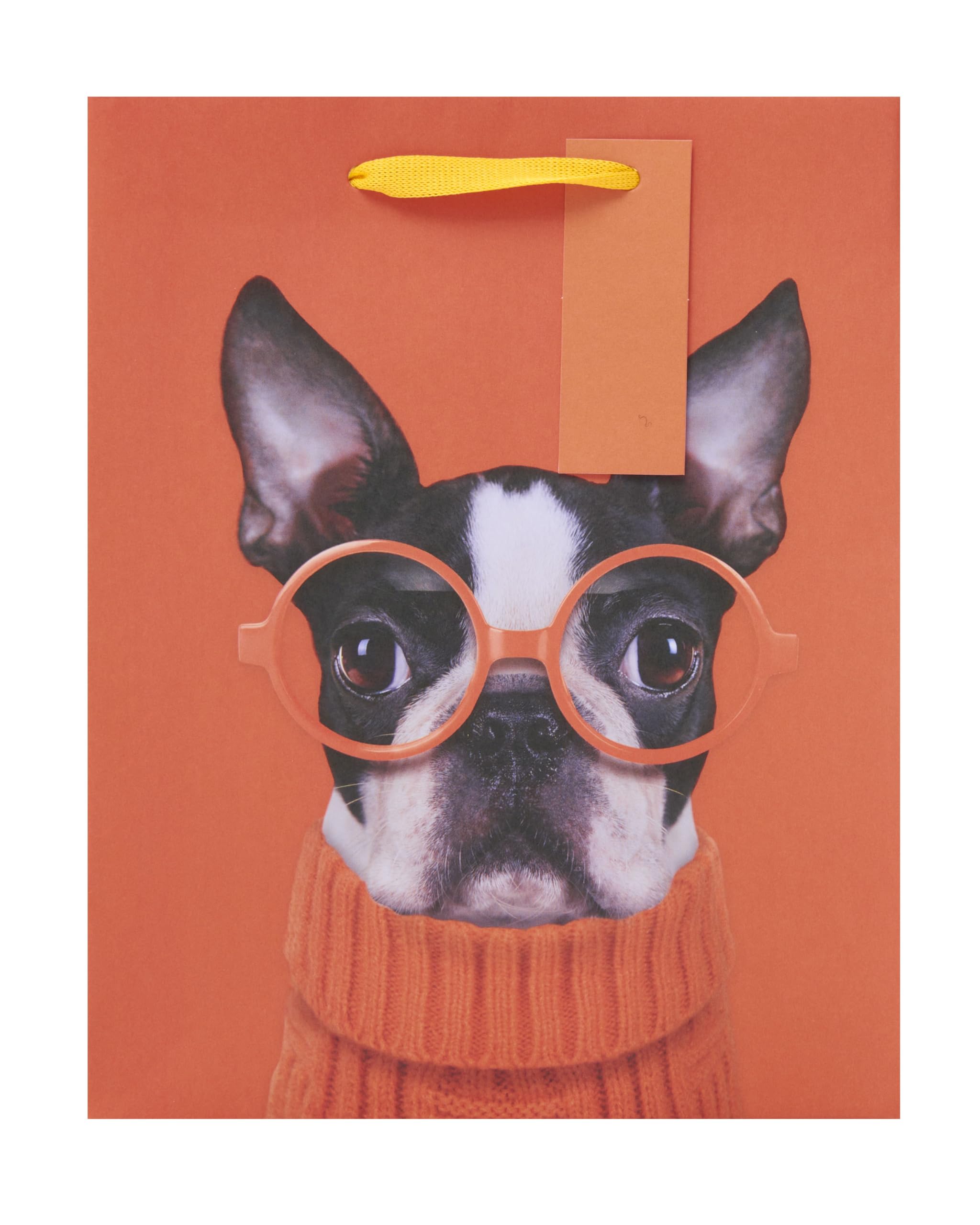 UK Greetings Medium Gift Bag - Boston Terrier with Glasses Design | 22.8 x 19 cm 5