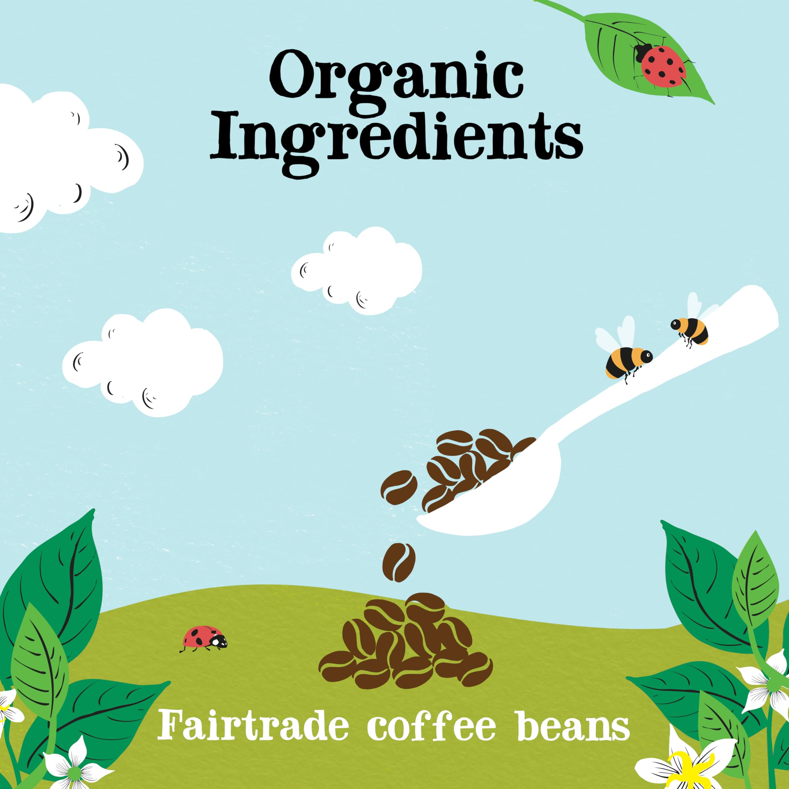 Clipper Natural, Fair & Delicious Latin American Organic Instant Coffee - 6 x 100g Jars | 600g Total 3