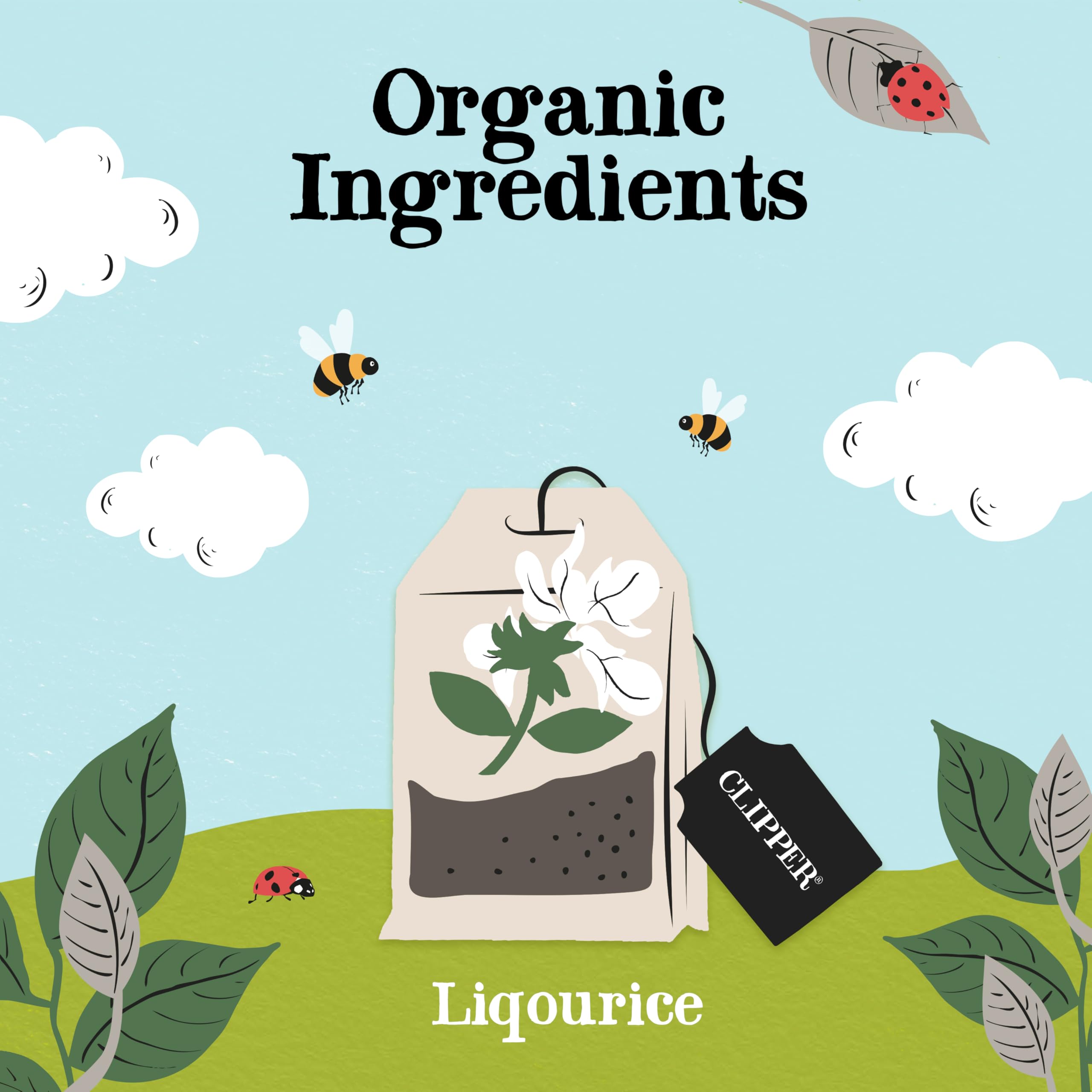 Clipper Natural, Fair & Delicious Organic Liquorice Root Tea Bags - 120 Count (6 x 20) | Caffeine-Free 3