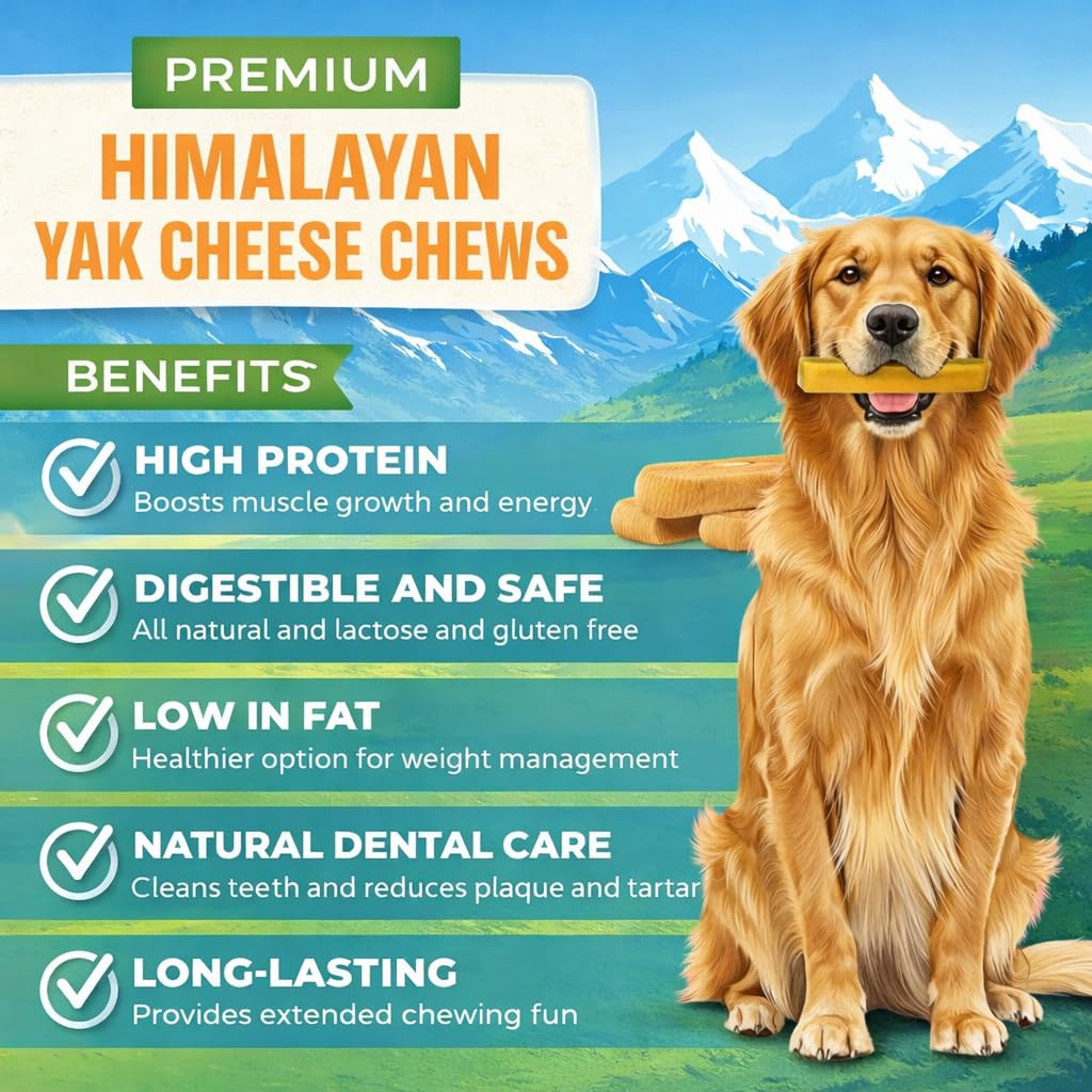 SUPA PAWS Yak Cheese Dental Sticks - High Protein | Grain-Free | All Dog Sizes | 6 Pieces Small Yak Chews 4