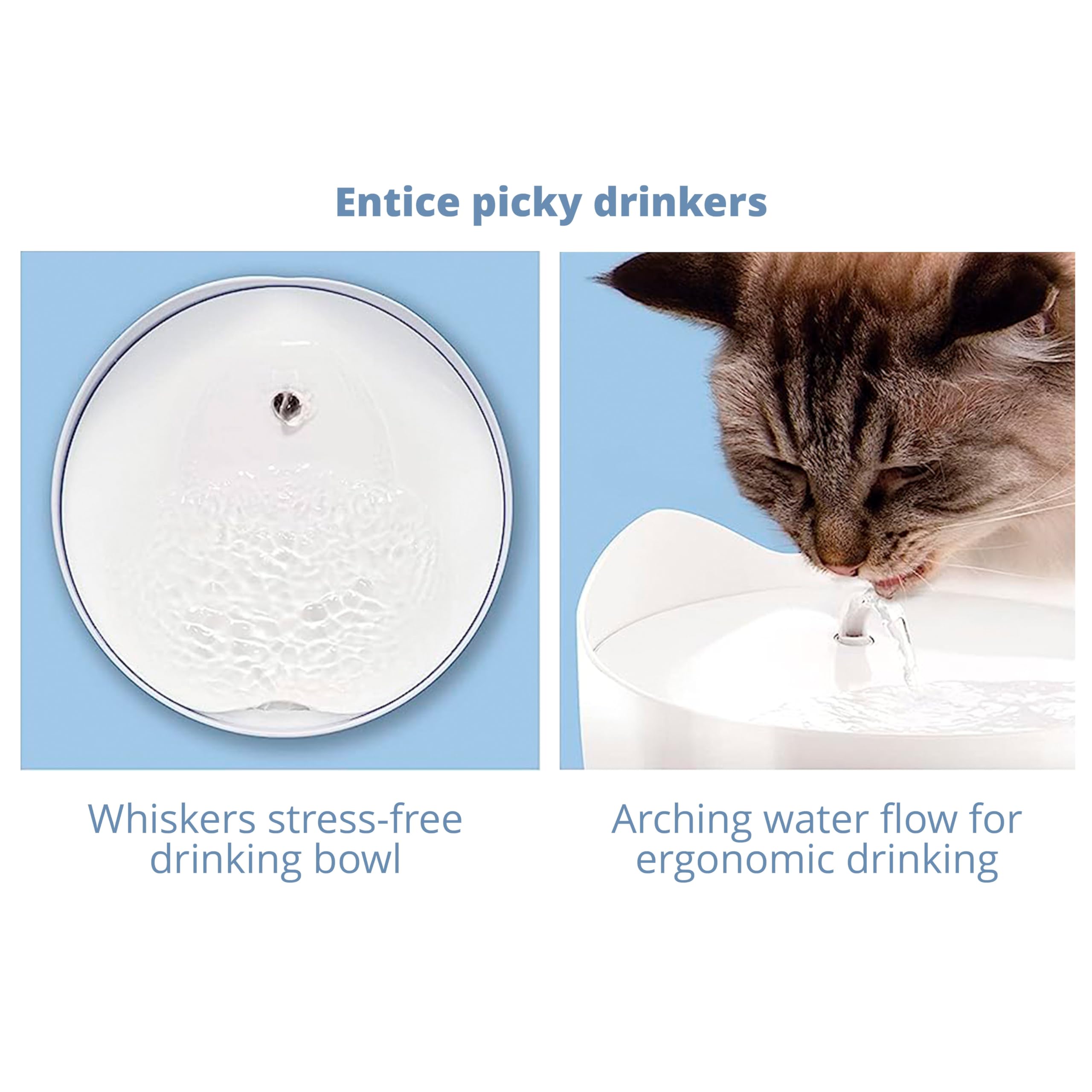 Catit PIXI Stainless Steel Automatic Drinking Water Fountain for Cats | Triple Action Filtration 6