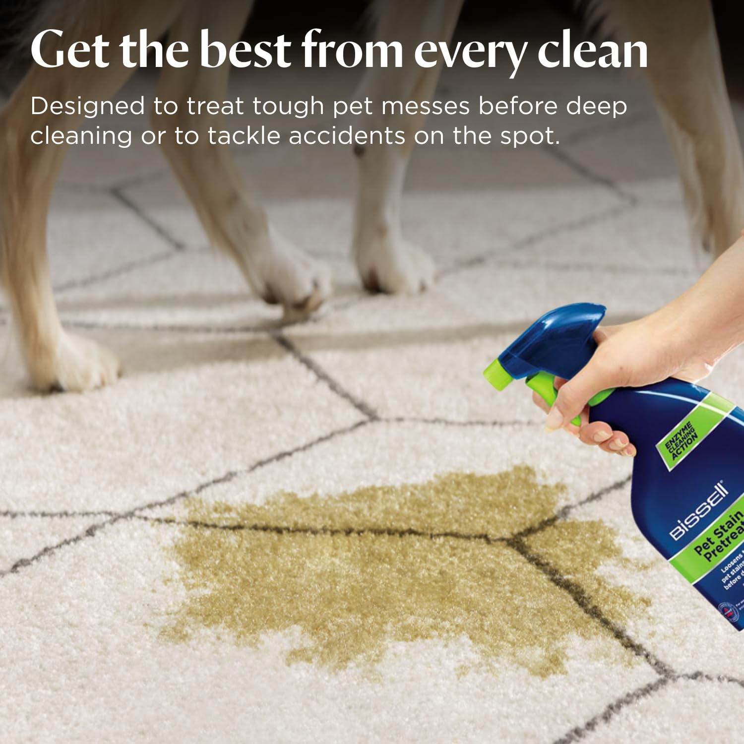 BISSELL Pet Stain Pre-Treat Spray for Carpet & Upholstery - Enzyme Cleaning Action | 650 ml 5