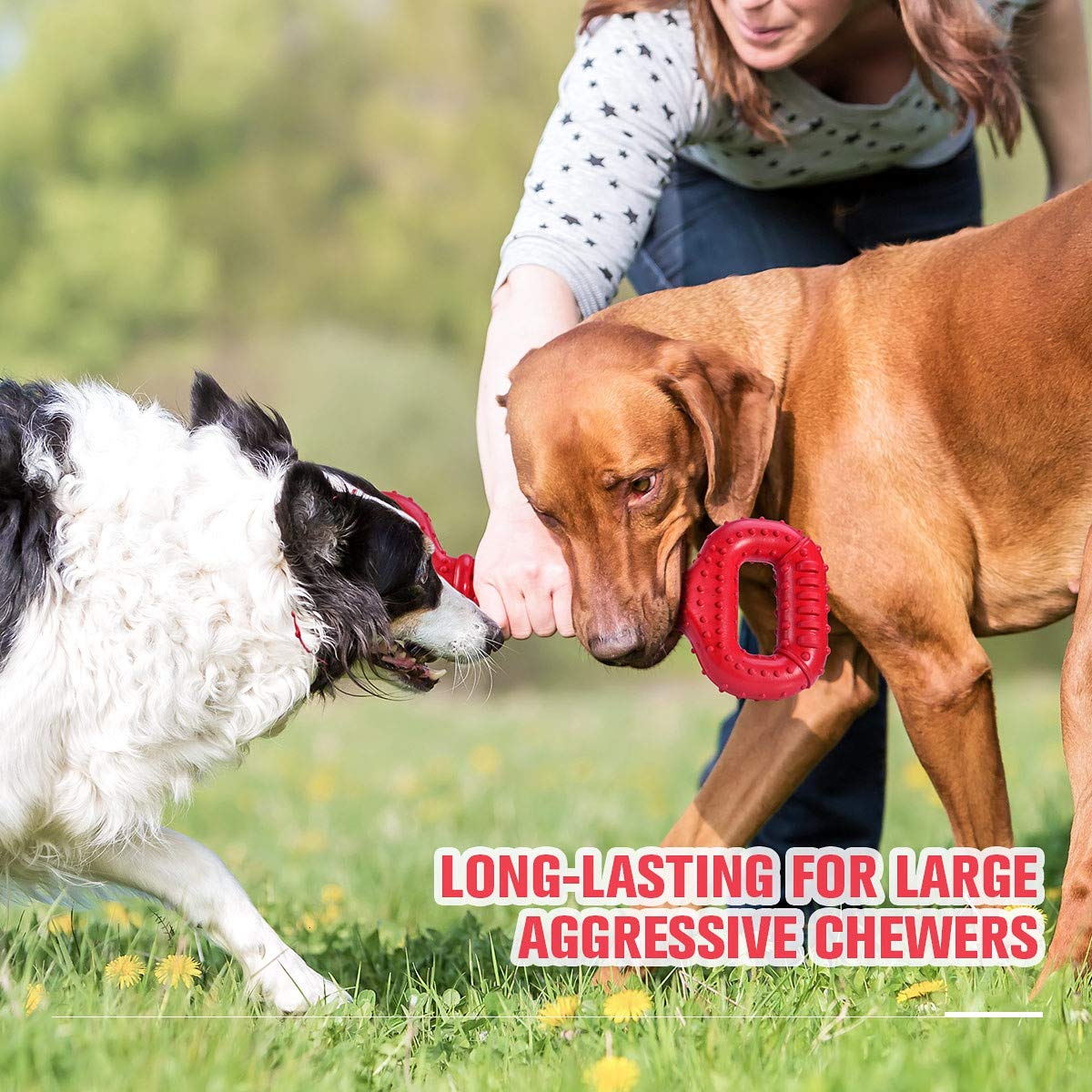 Feeko Large Breed Dog Chew Toy - 15 Inch Indestructible Bone for Dental Health | Natural Rubber | Beef Scent 5