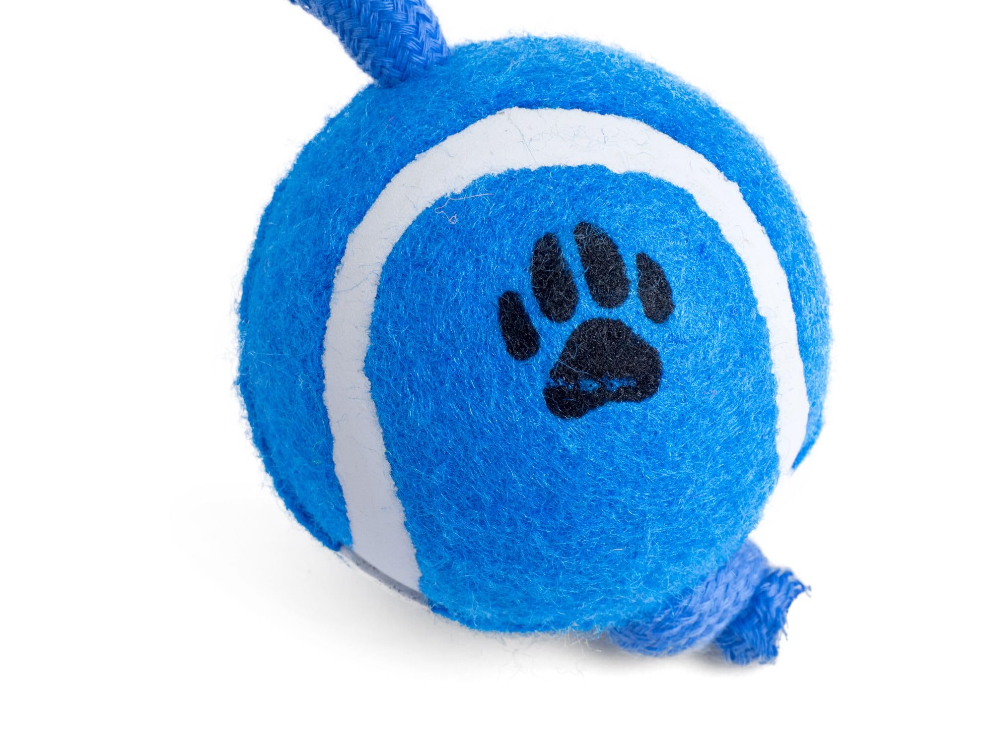 Petface Tennis Ball on Rope Dog Tug Toy for Small Breeds | Interactive Fetch & Chew 6