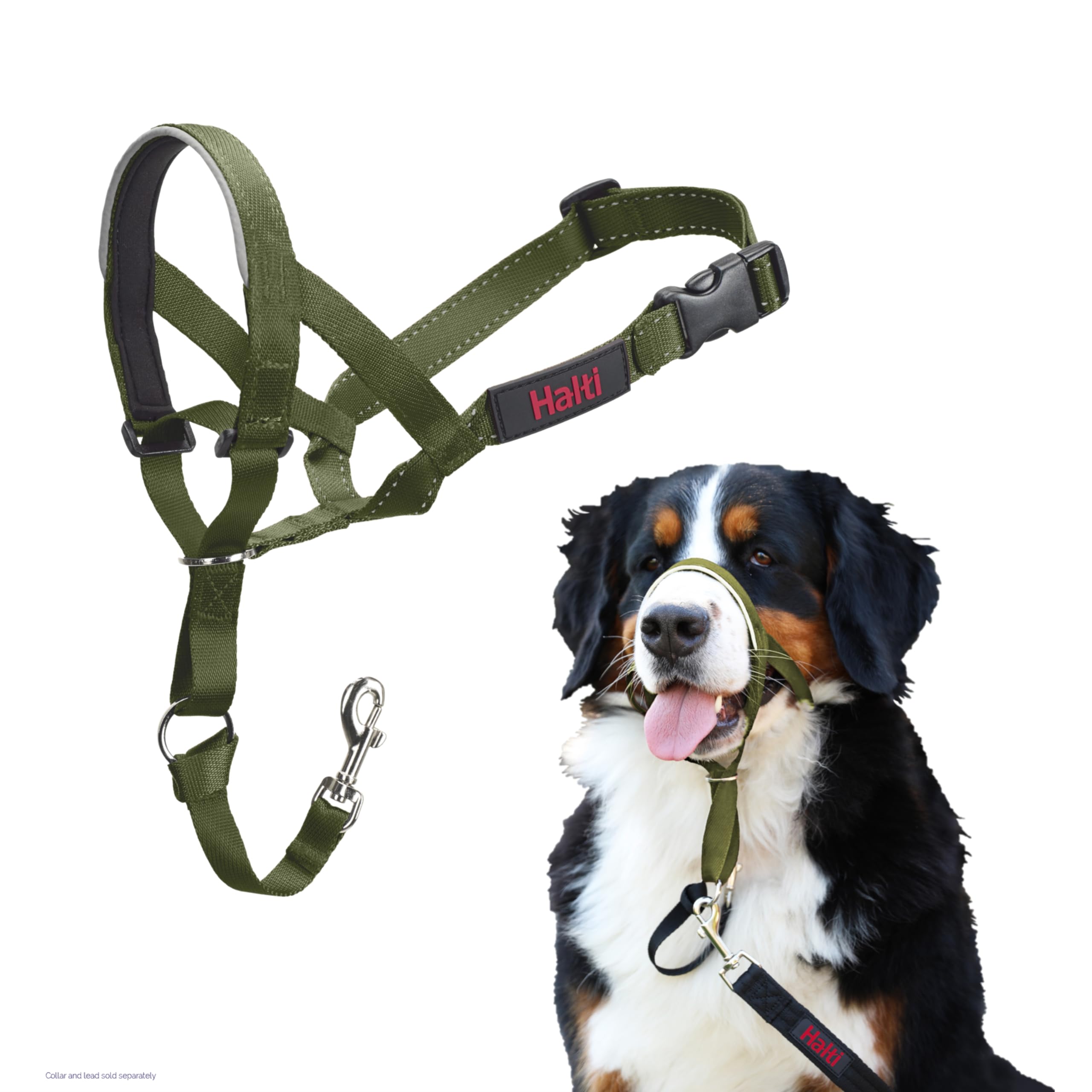 Halti Headcollar - Stops Pulling | Size 4 Large Dog | Forest Green Nylon 1