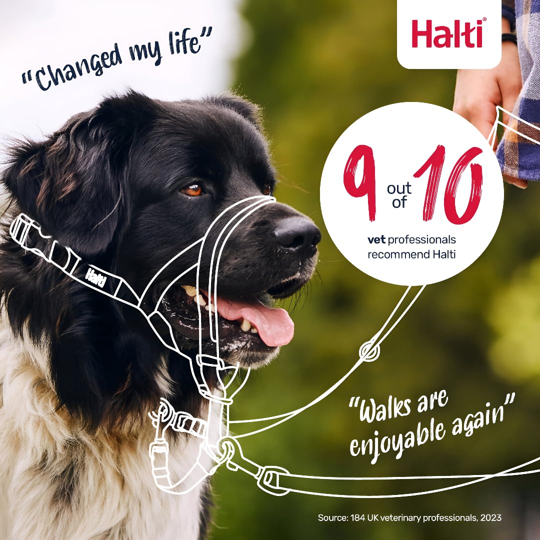 Halti Headcollar - Stops Pulling for Medium Dogs | Size 2, Forest Green, Reflective 6