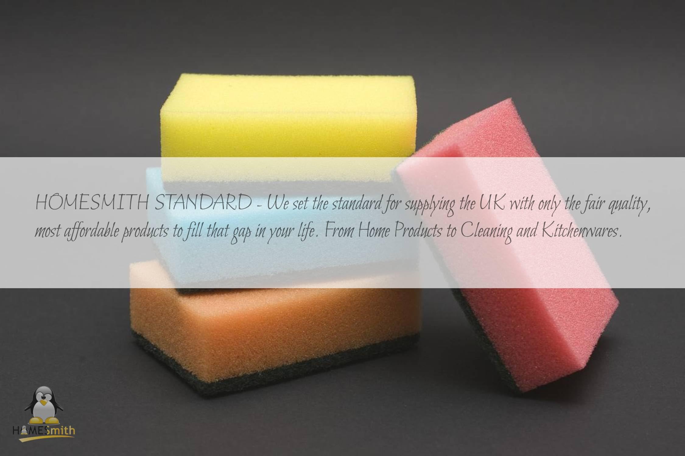 HomeSmith Dual-Sided Sponge Scourers - High-Density & Absorbent | Pack of 100 | Mix Colours 4